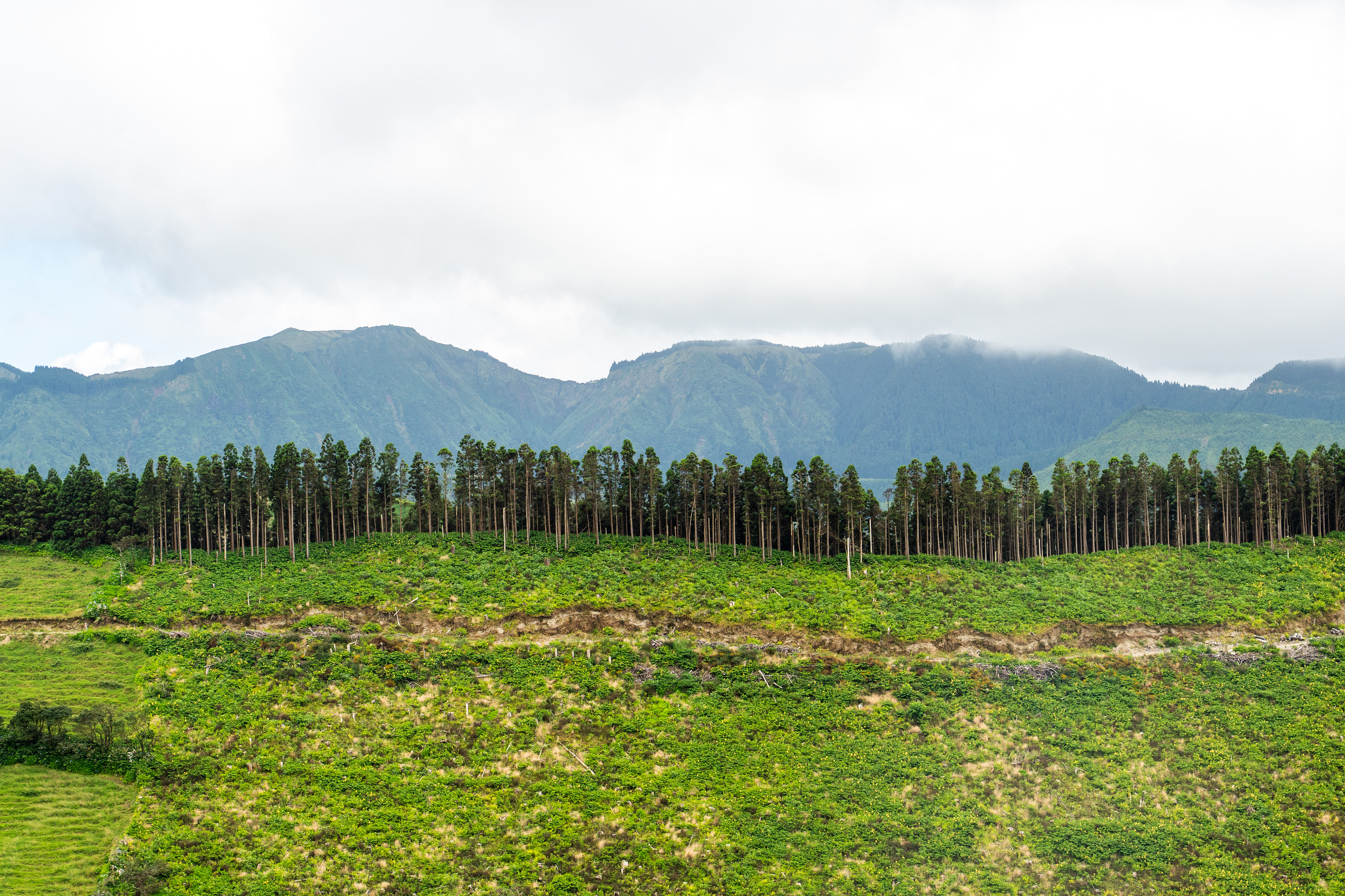 São Miguel, Azores, Portugal, 2025