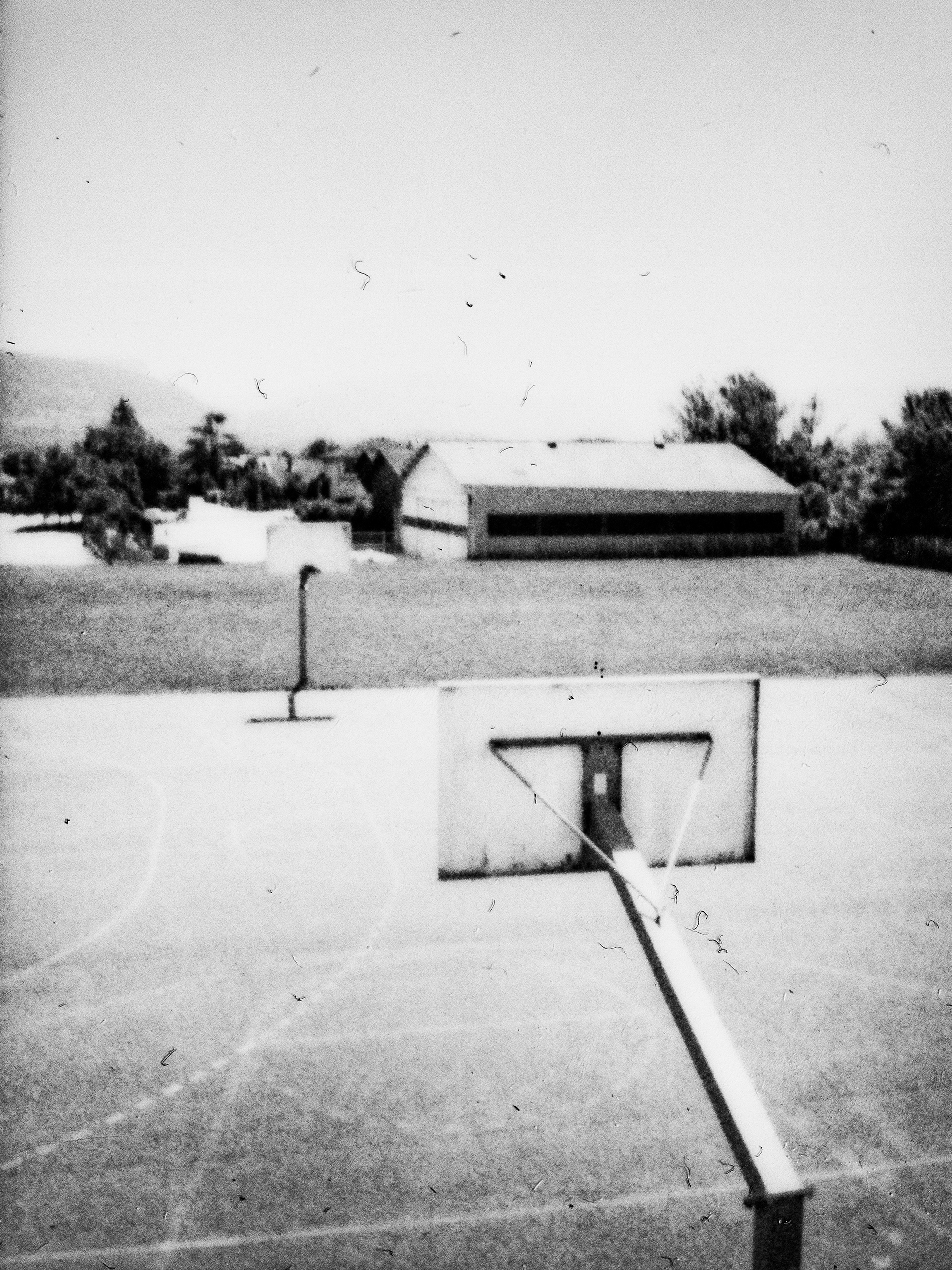 38160, Chatte, Isère, Auvergne-Rhône-Alpes, France, 2026 (Polaroid)