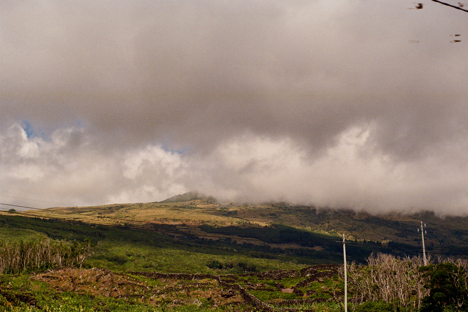 9940, 9960, Pico, Azores, Portugal, 2025 (Argentique)