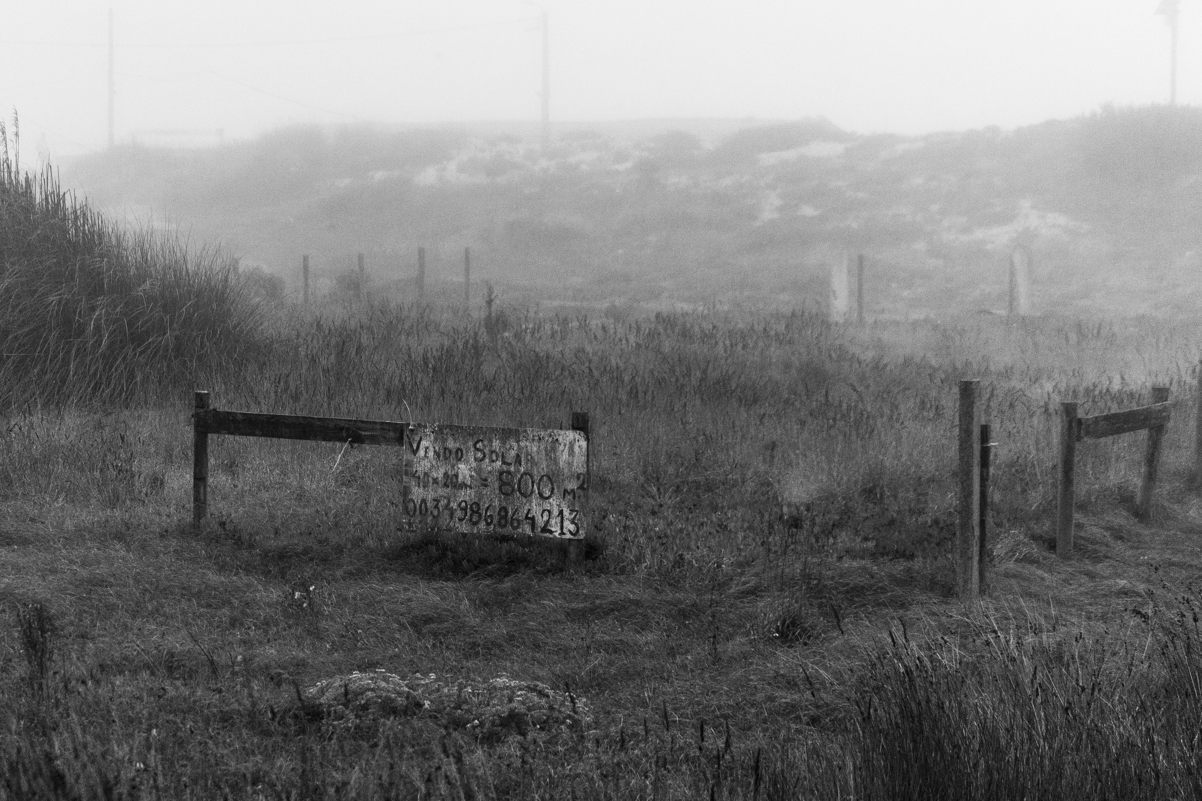 "Smooky", Villa Nova de Gaia, Nord, Portugal
