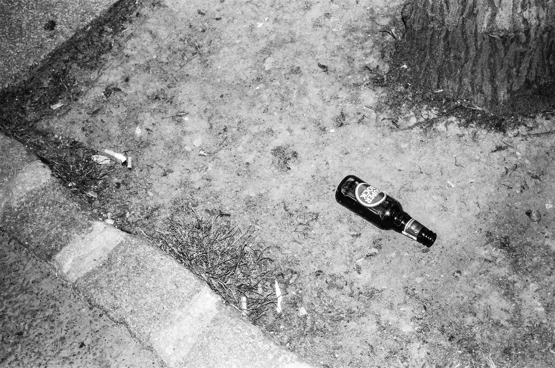 Série "Paris poubelle", 2025 (Argentique)
