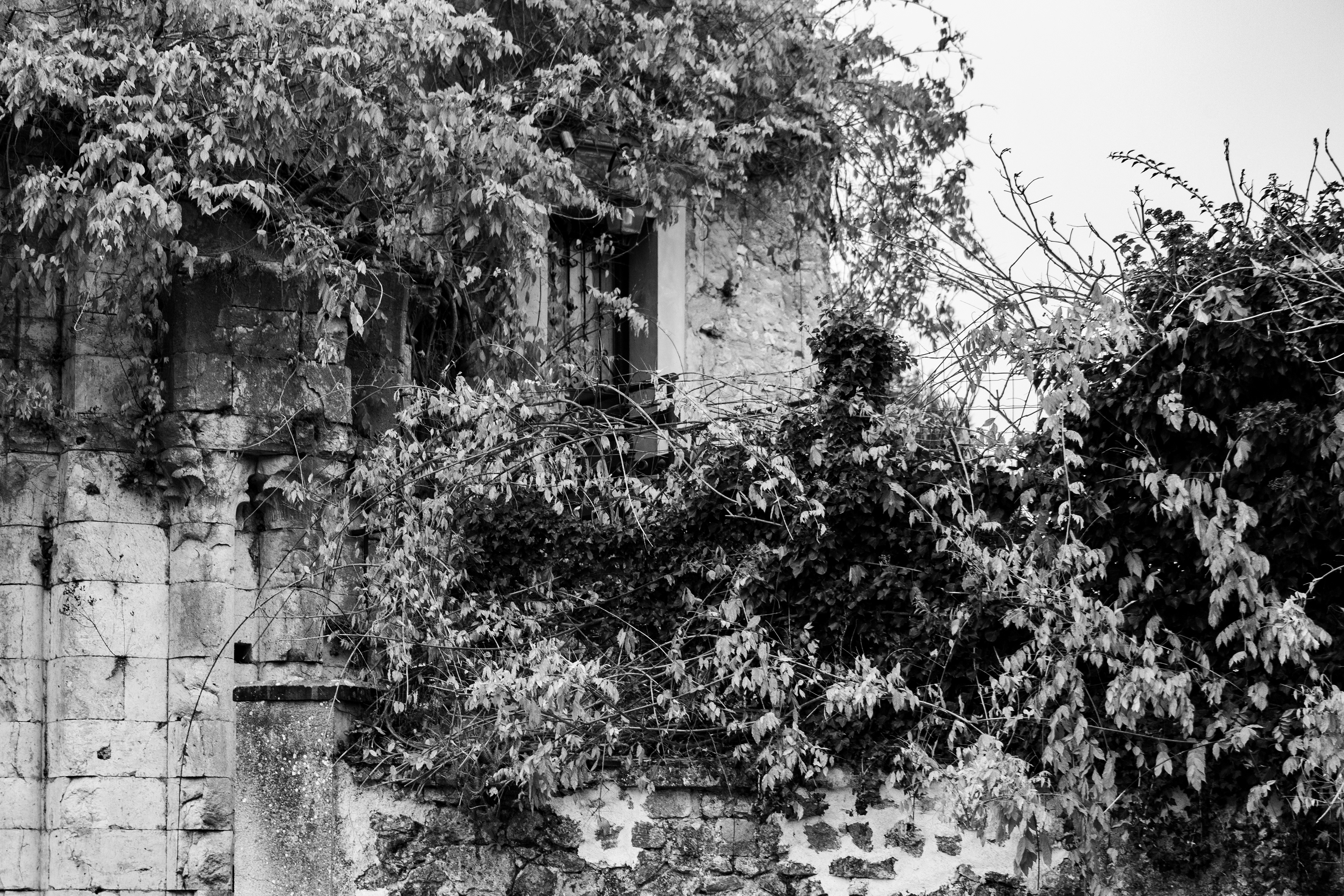 Provins, Seine-et-Marne, Ile-de-France, France, 2024