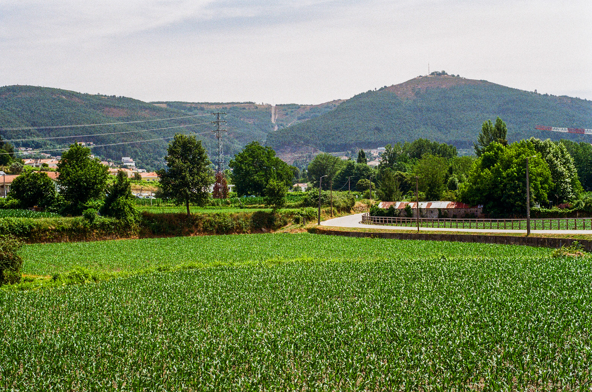 4540, Arouca, Centre, Portugal, 2025 (Argentique)