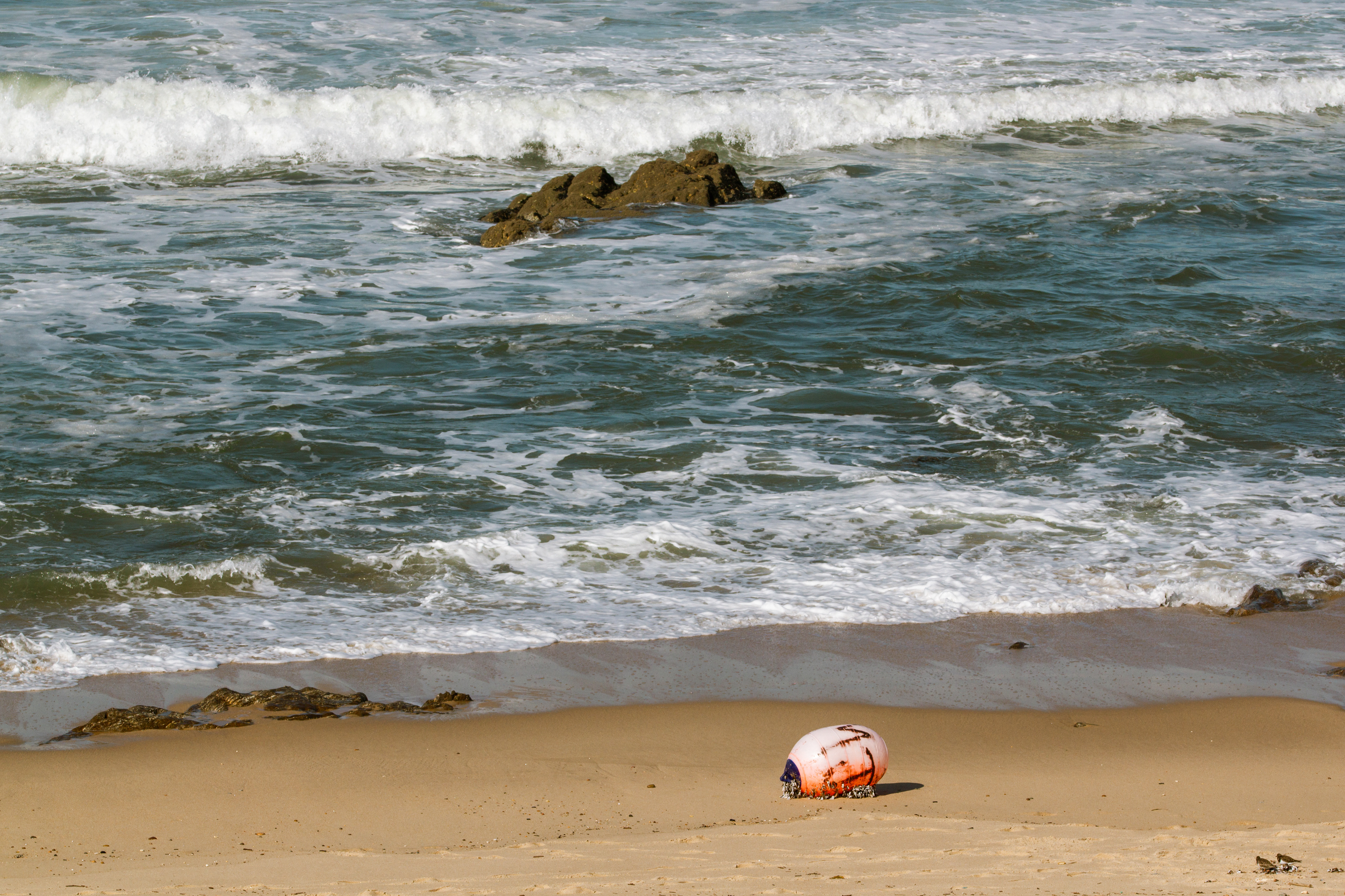 Vila Nova de Gaia, Nord, Portugal, 2025