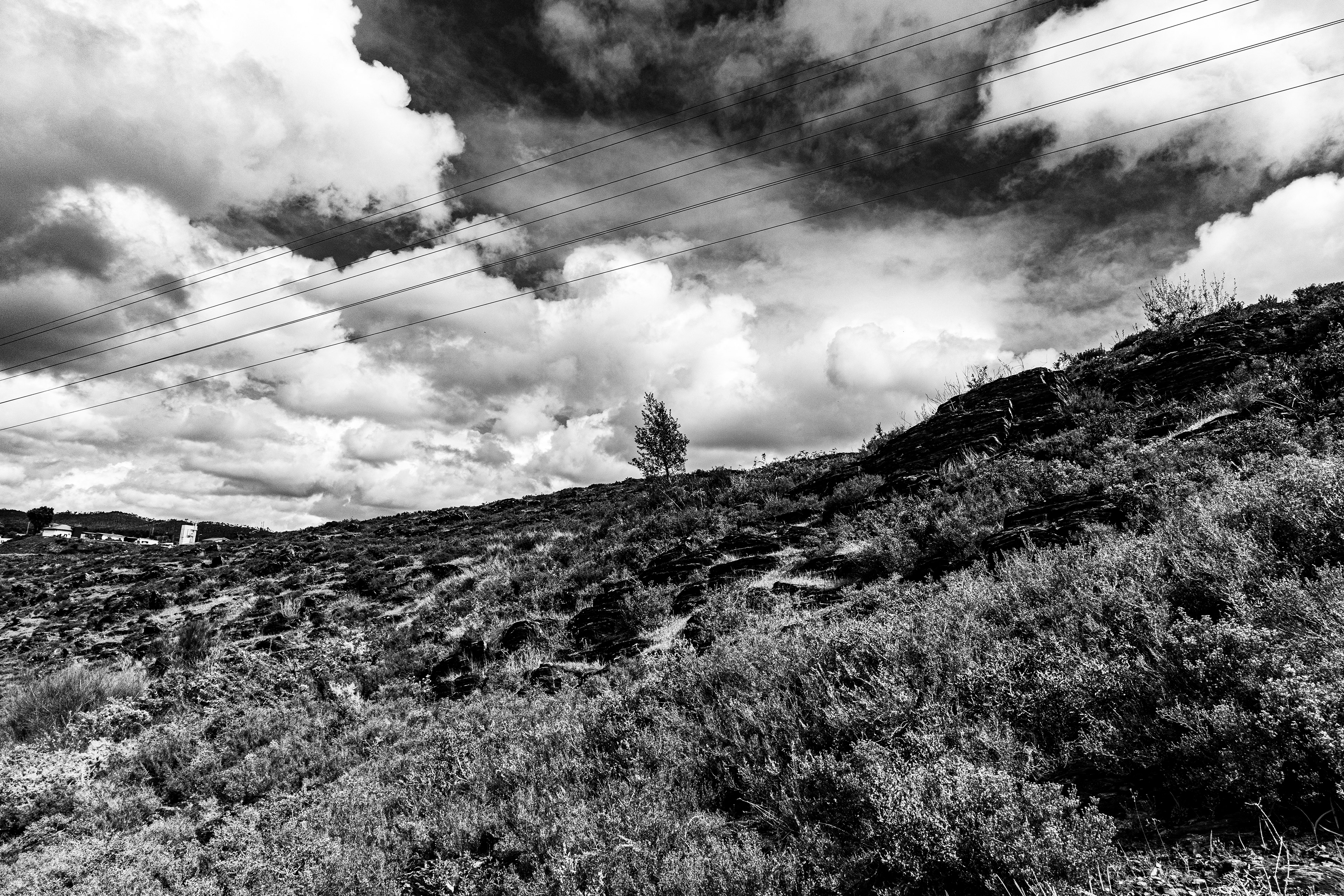 Valongo, Nord, Portugal, 2025