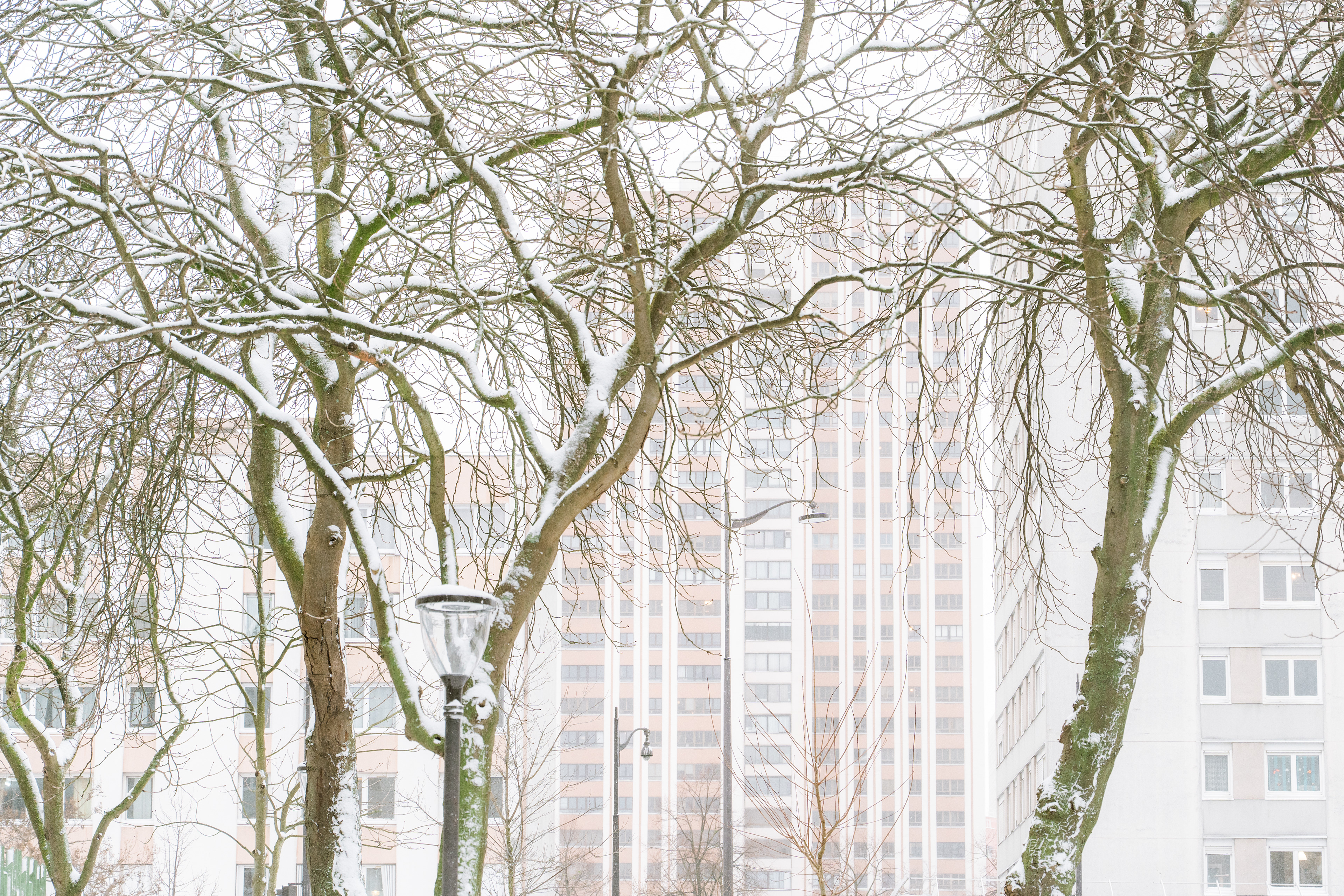 Paris, Ile-de-France, France, 2026