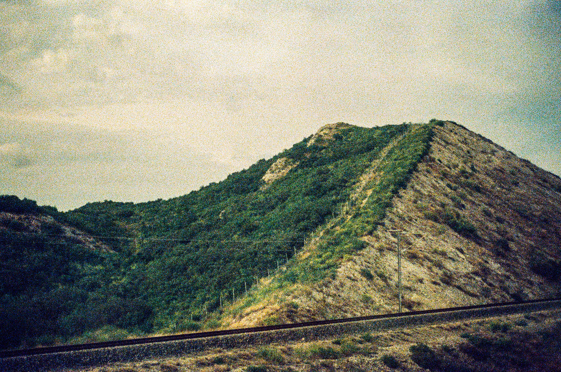 Série "Voyage dans le midi", 2025 (Argentique)