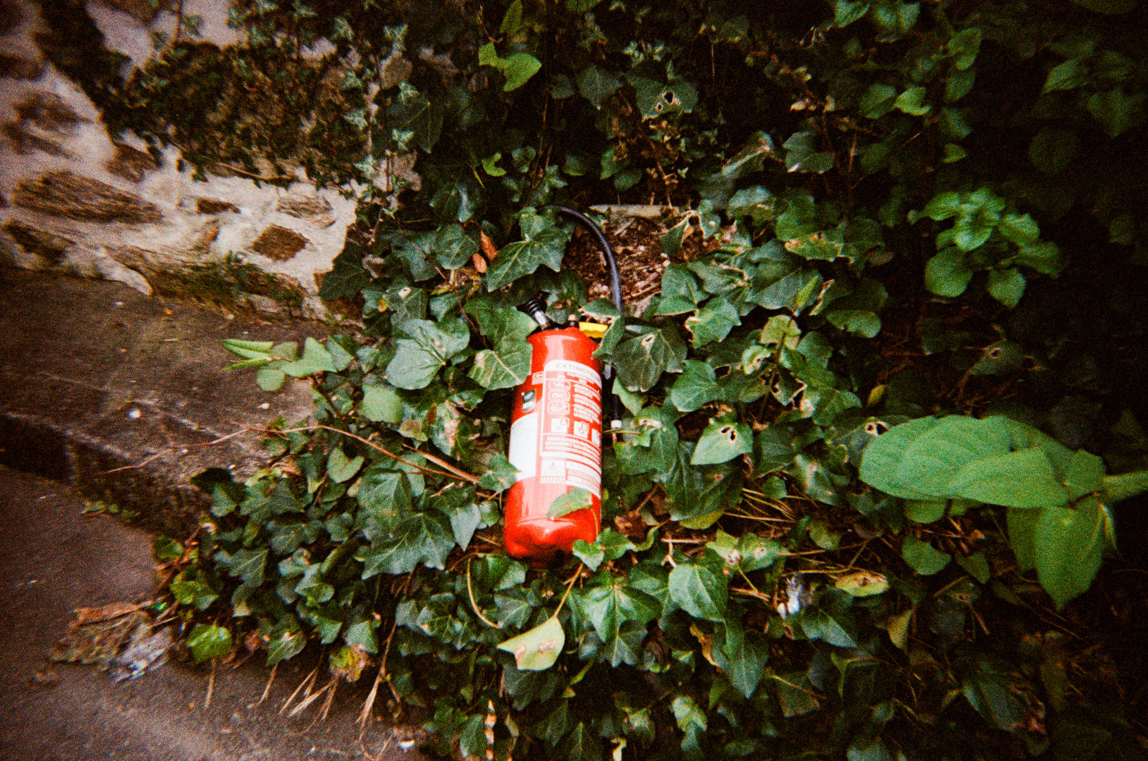 Limoges, Haute-Vienne, Nouvelle-Aquitaine, France, 2026