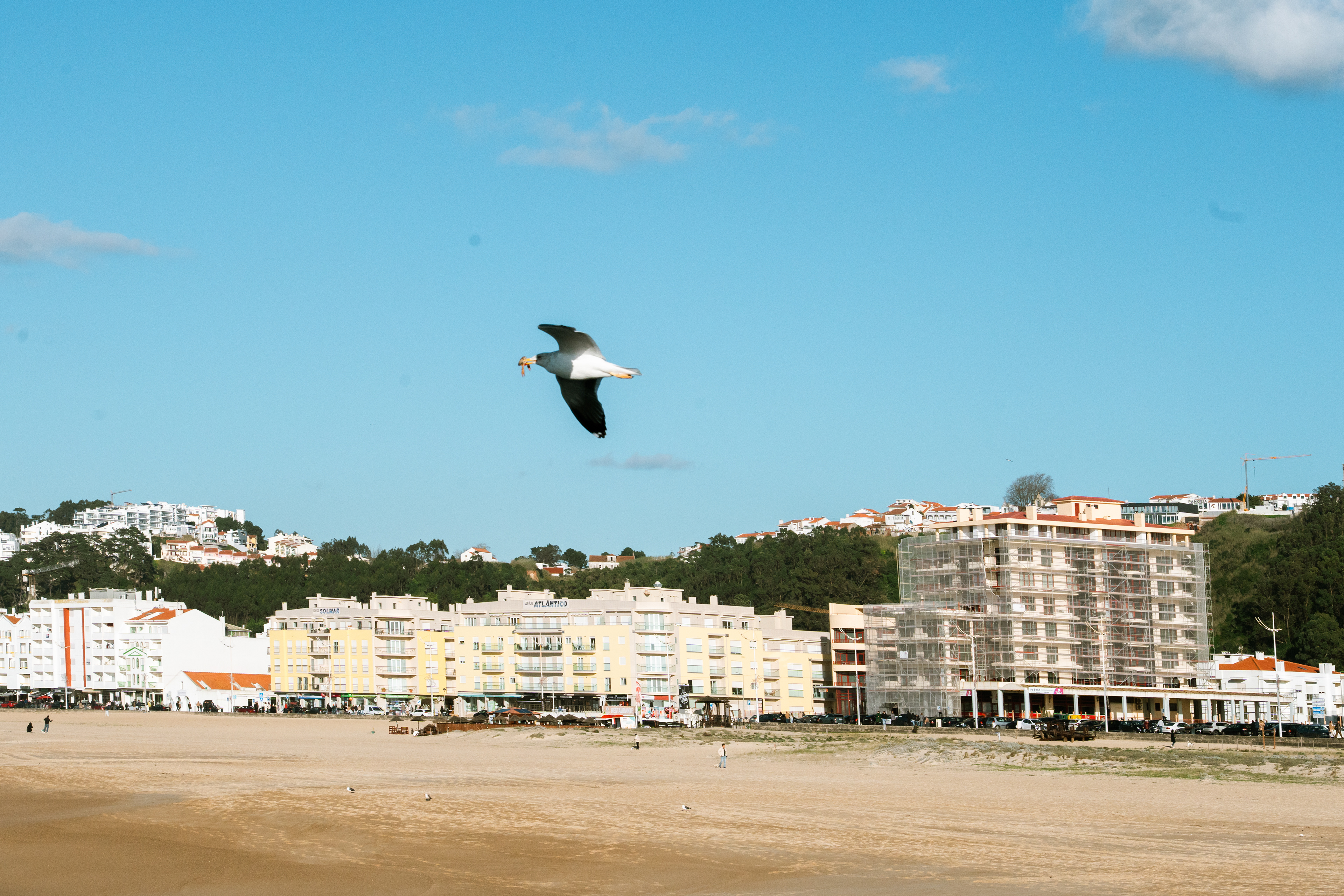 Nazaré, Ouest, Portugal, 2026