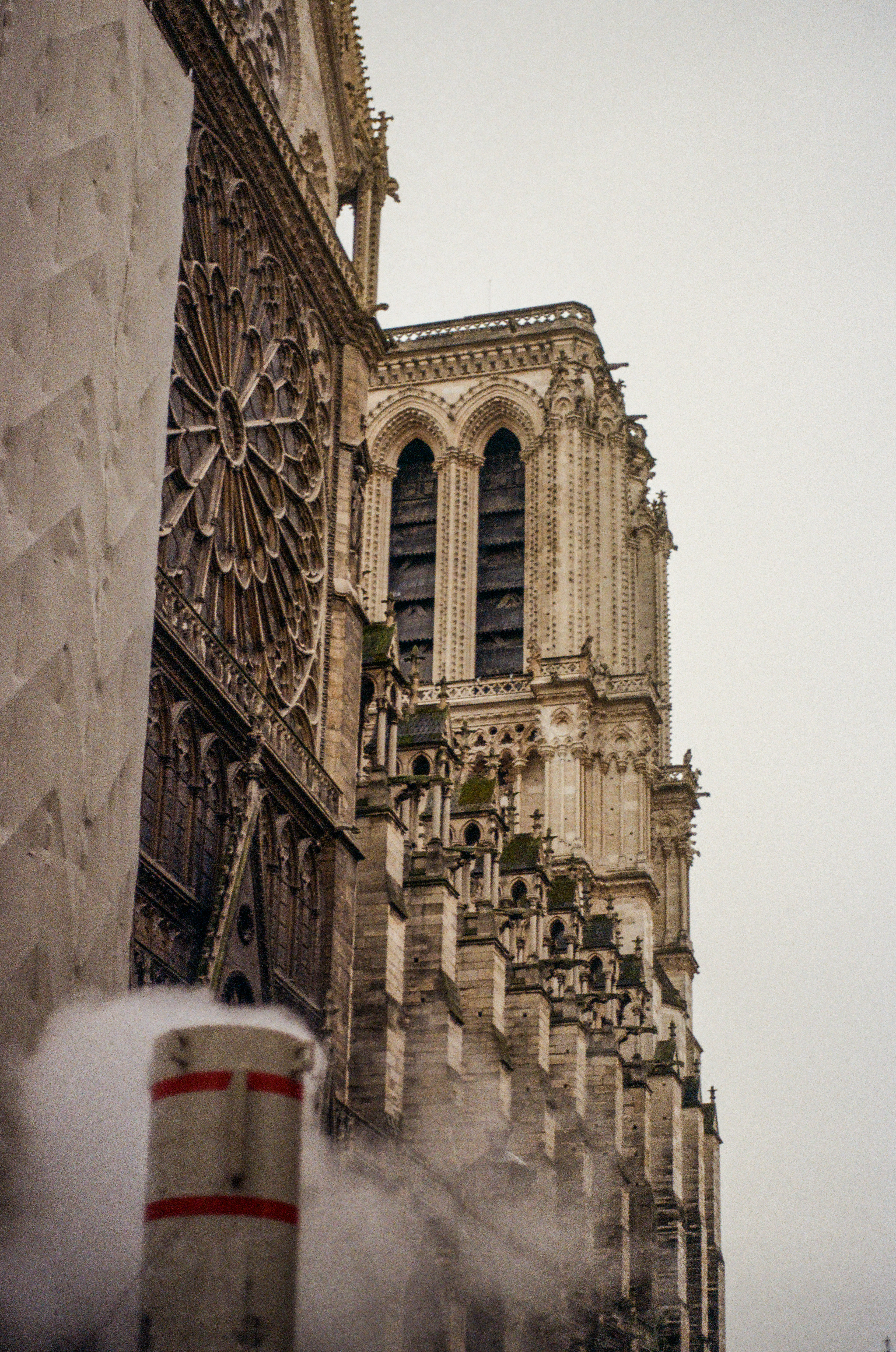 Cathédrale Notre-Dame de Paris, 75004, Paris, Ile-de-France, France, 2026 (Argentique)