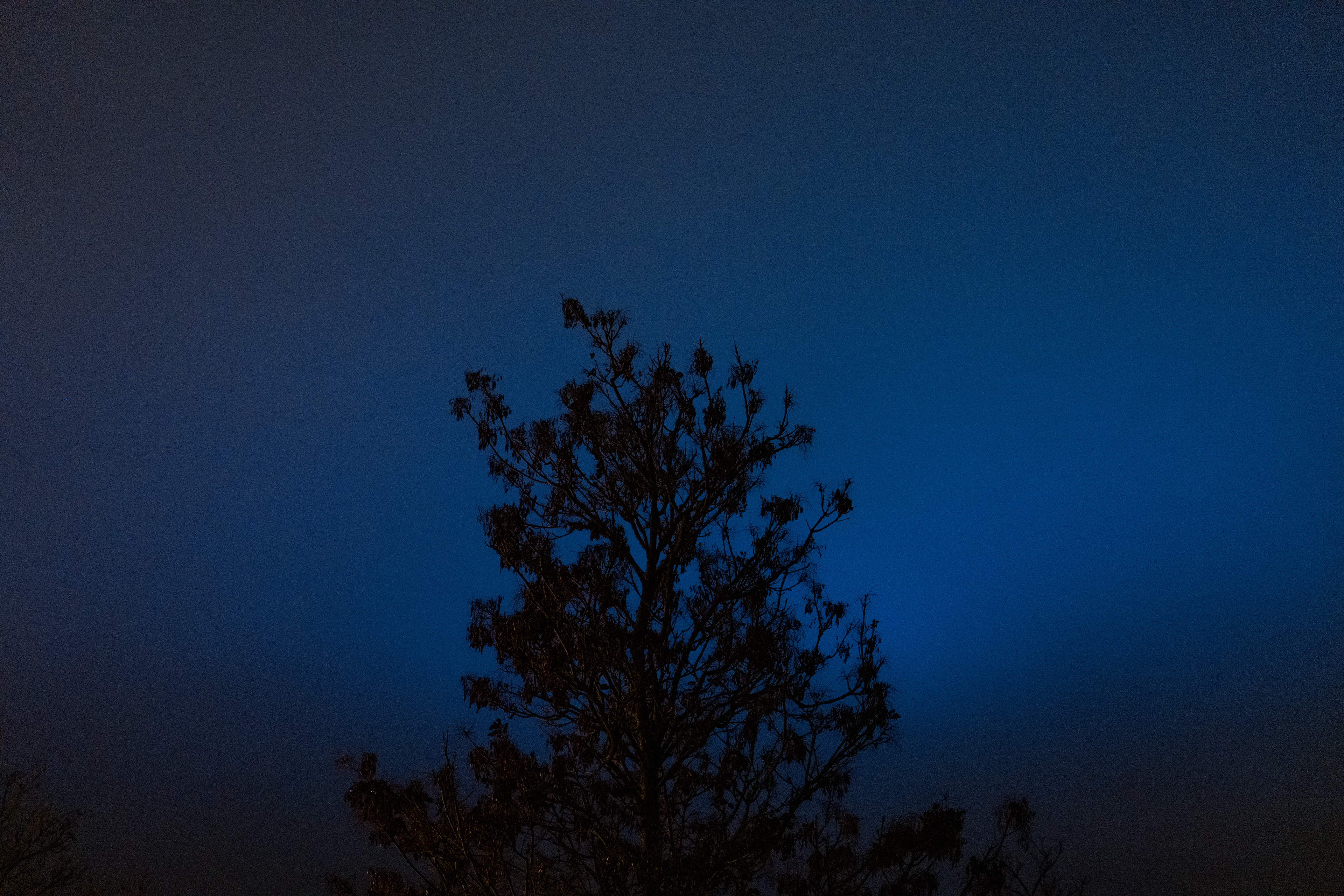 Bordeaux, Gironde, Nouvelle-Aquitaine, France, 2024