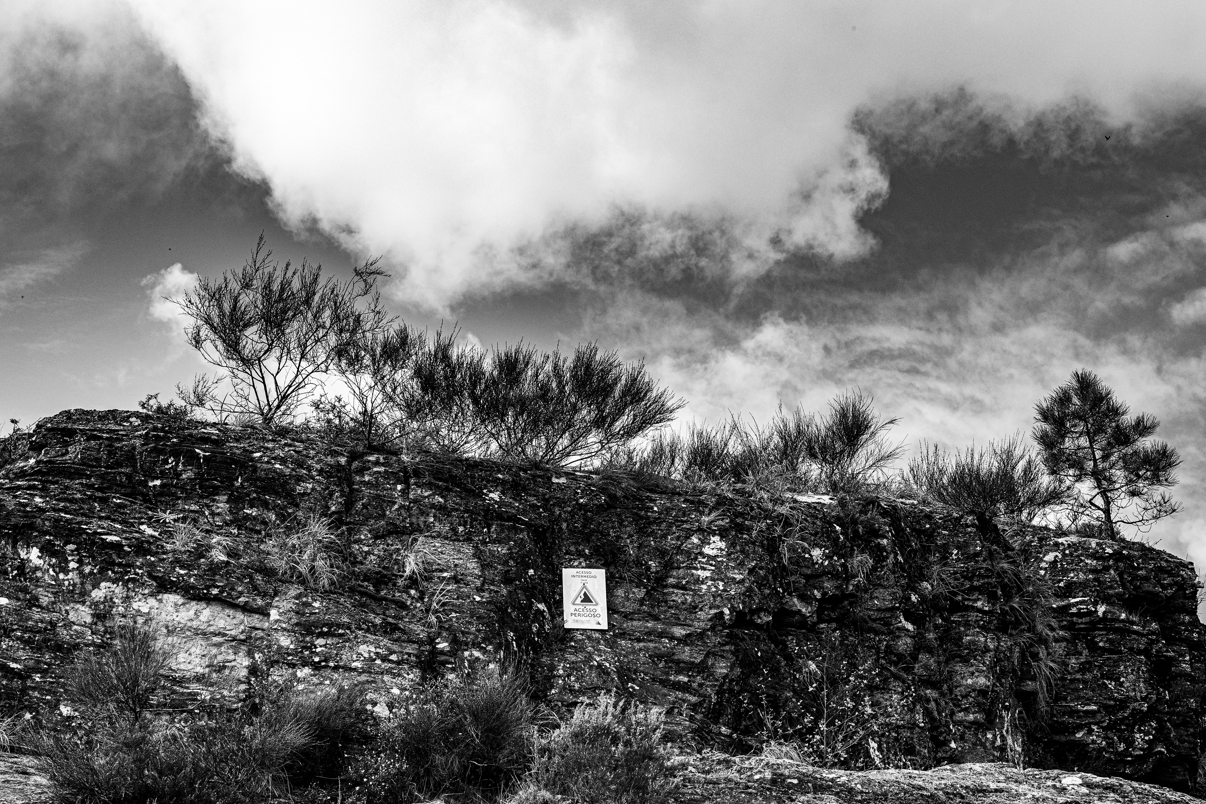 Valongo, Nord, Portugal, 2025