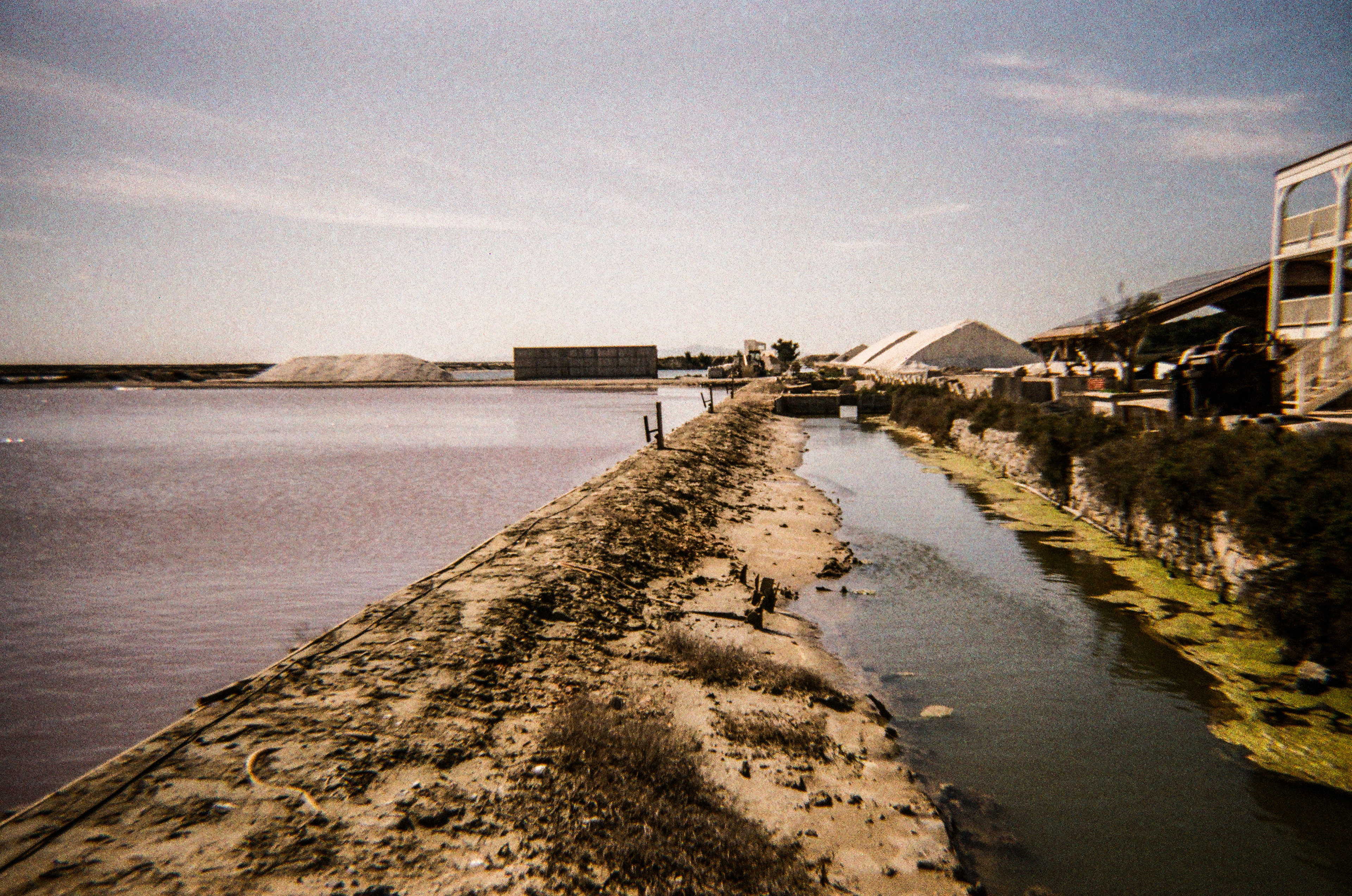 Le salin de l'Île Saint-Martin, Gruissan, Aude, France, 2026