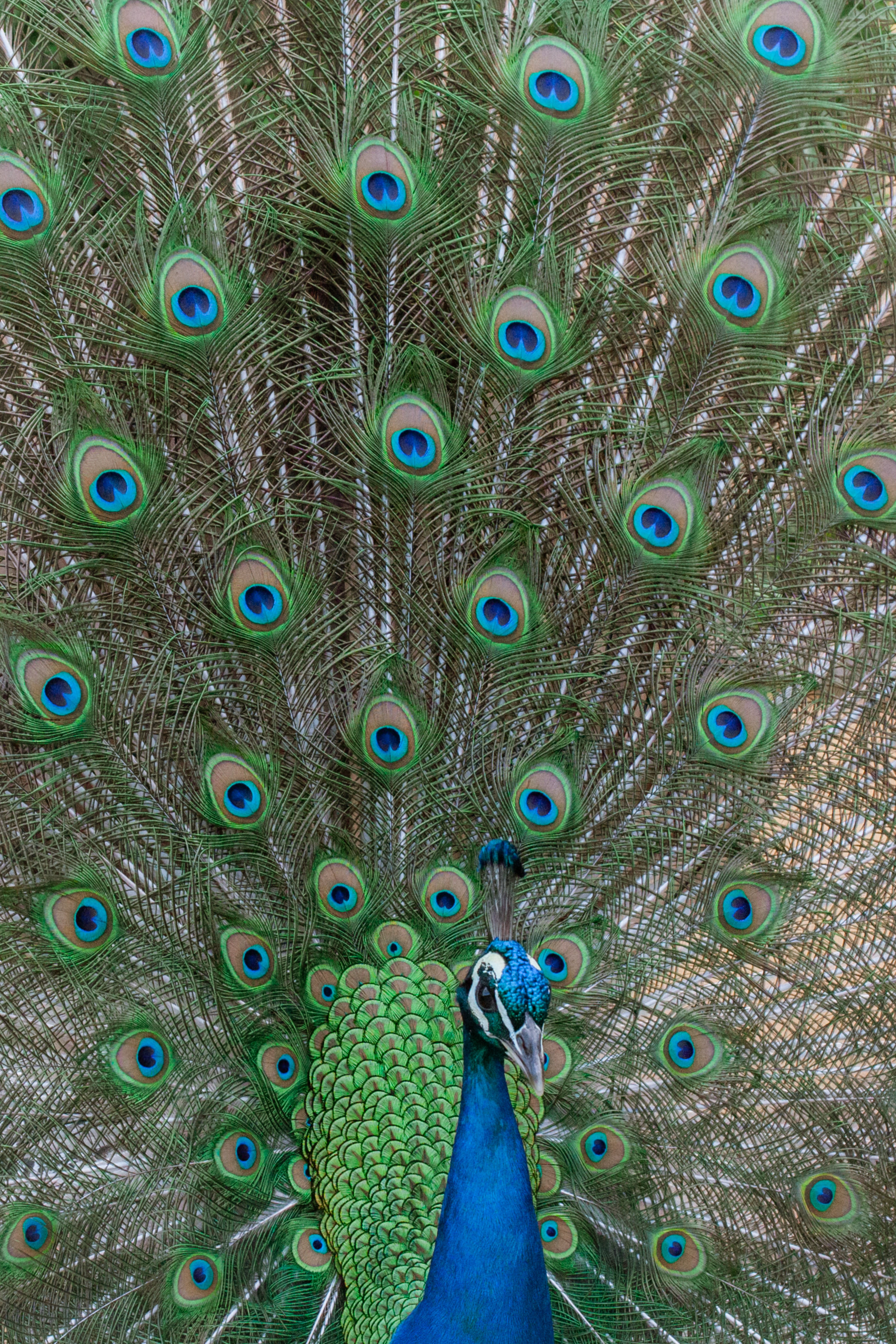 Porto, Nord, Portugal, 2023