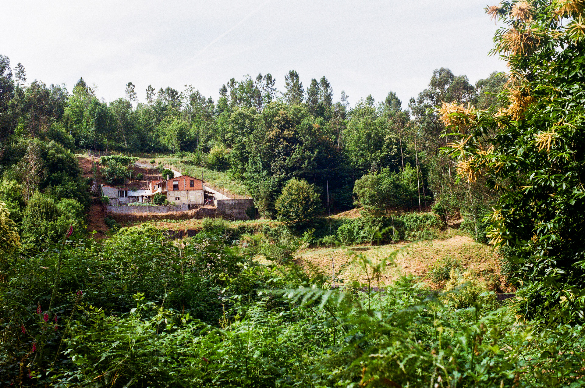 Arouca, Centre, Portugal, 2025