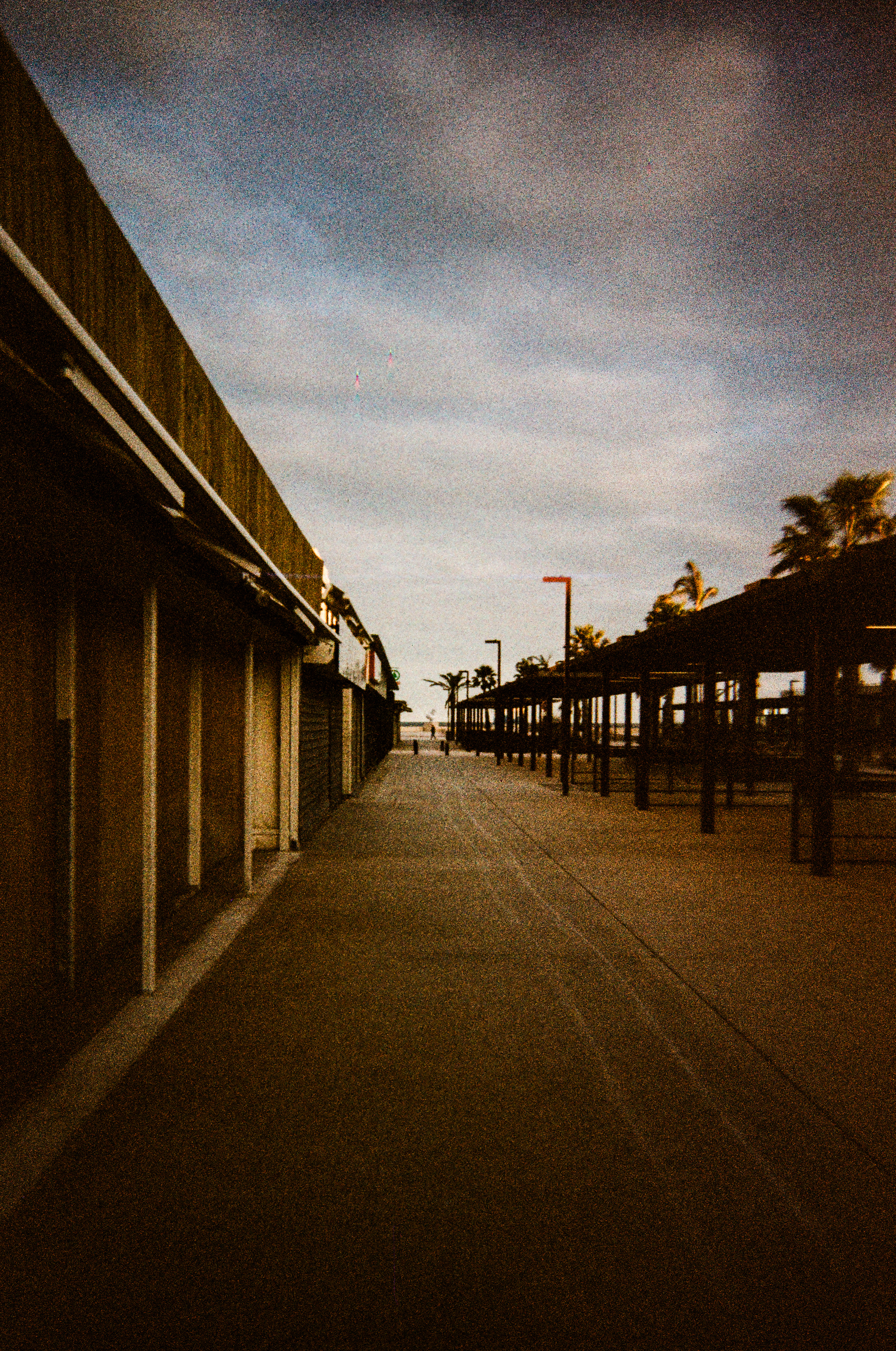 11100, Narbonne plage, Narbonne, Aude, Occitanie, France, 2026 (Argentique)