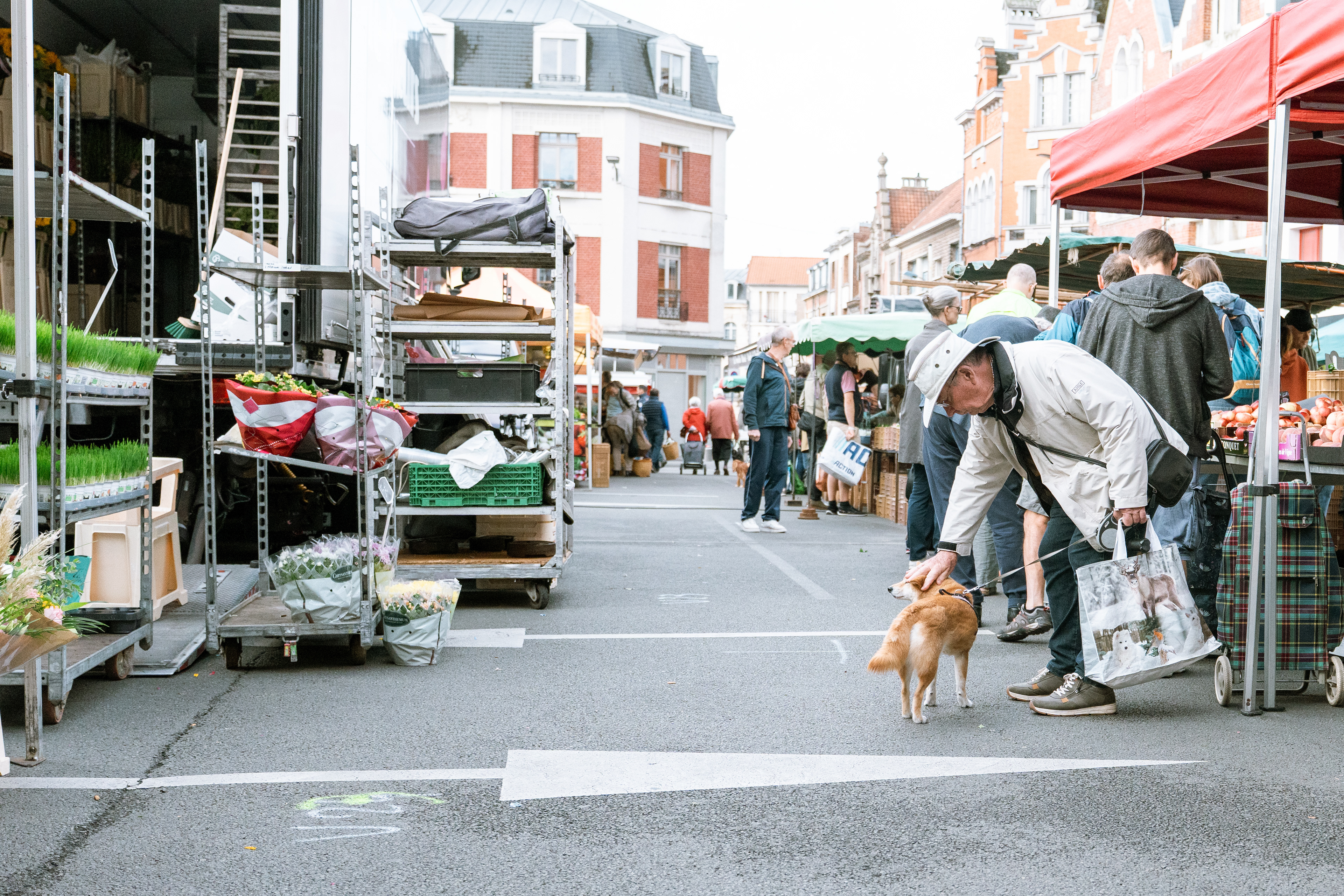 Arras, Pas-De-Calais, Hauts-de-France, France, 2025