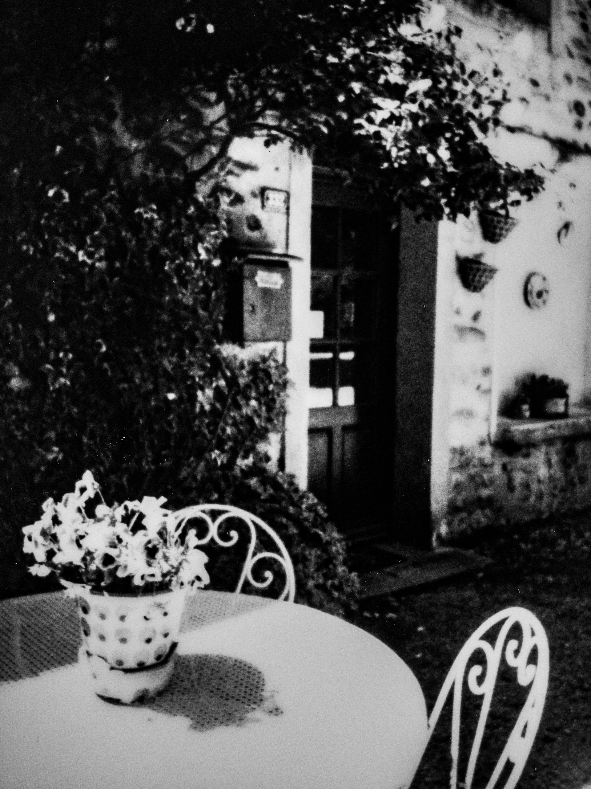 38160, Saint Antoine l'Abbaye, Isère, Auvergne-Rhône-Alpes, France, 2026 (Polaroid)