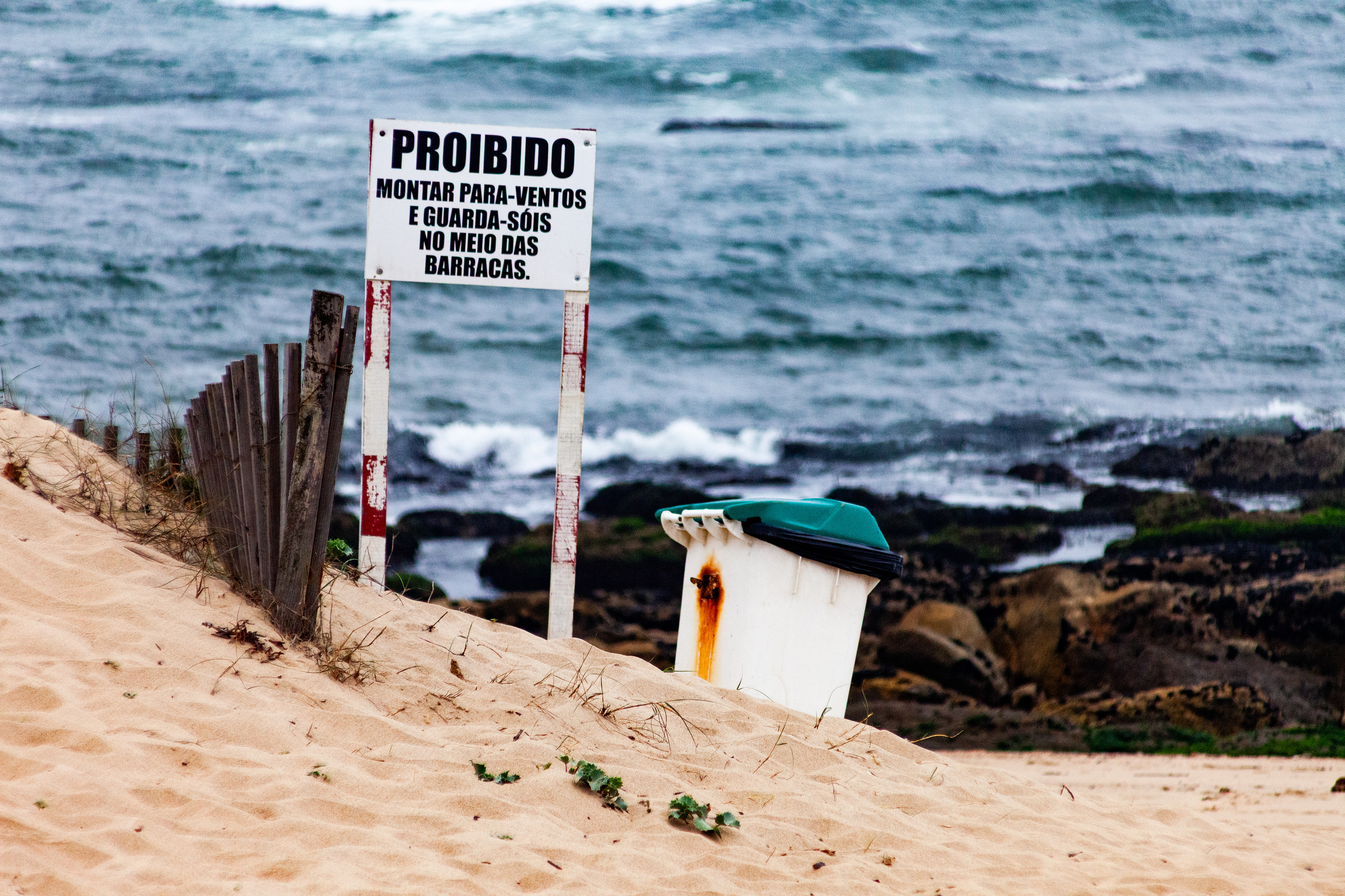 Vila Nova de Gaia, Nord, Portugal, 2024