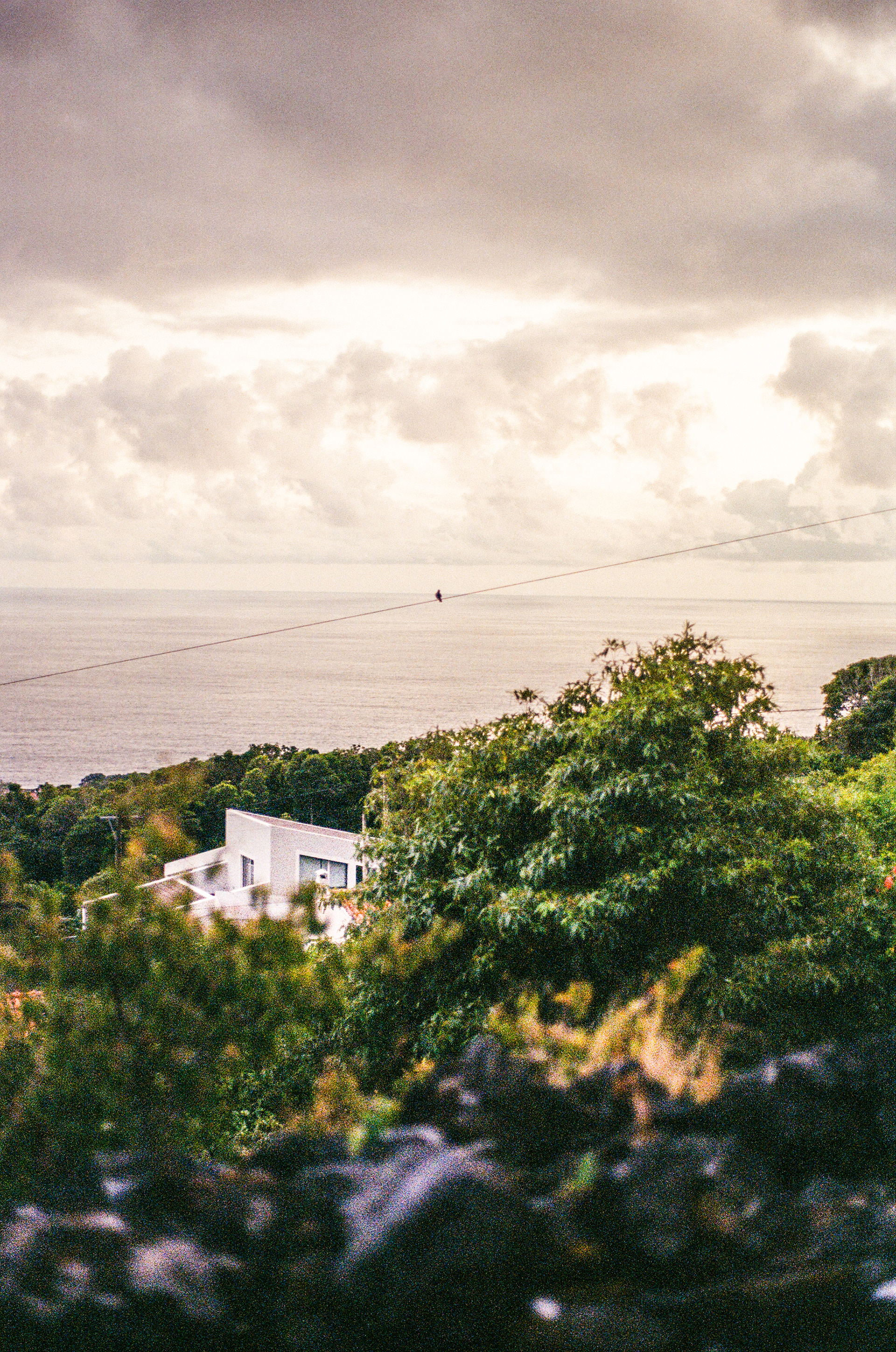 Pico, Azores, Portugal, 2025