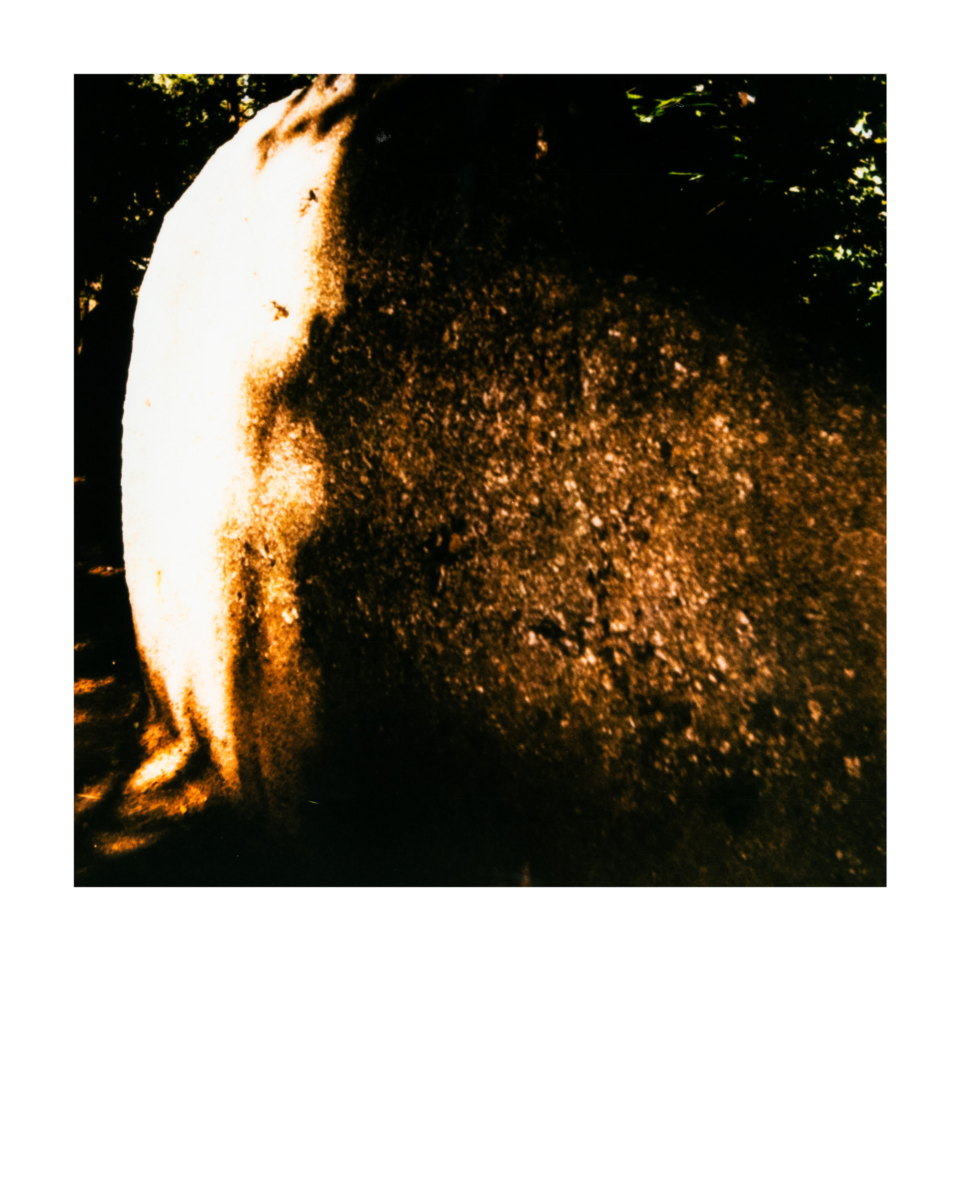 Série "Parcs", Musée départemental Albert-Kahn, 2026 (Polaroid)