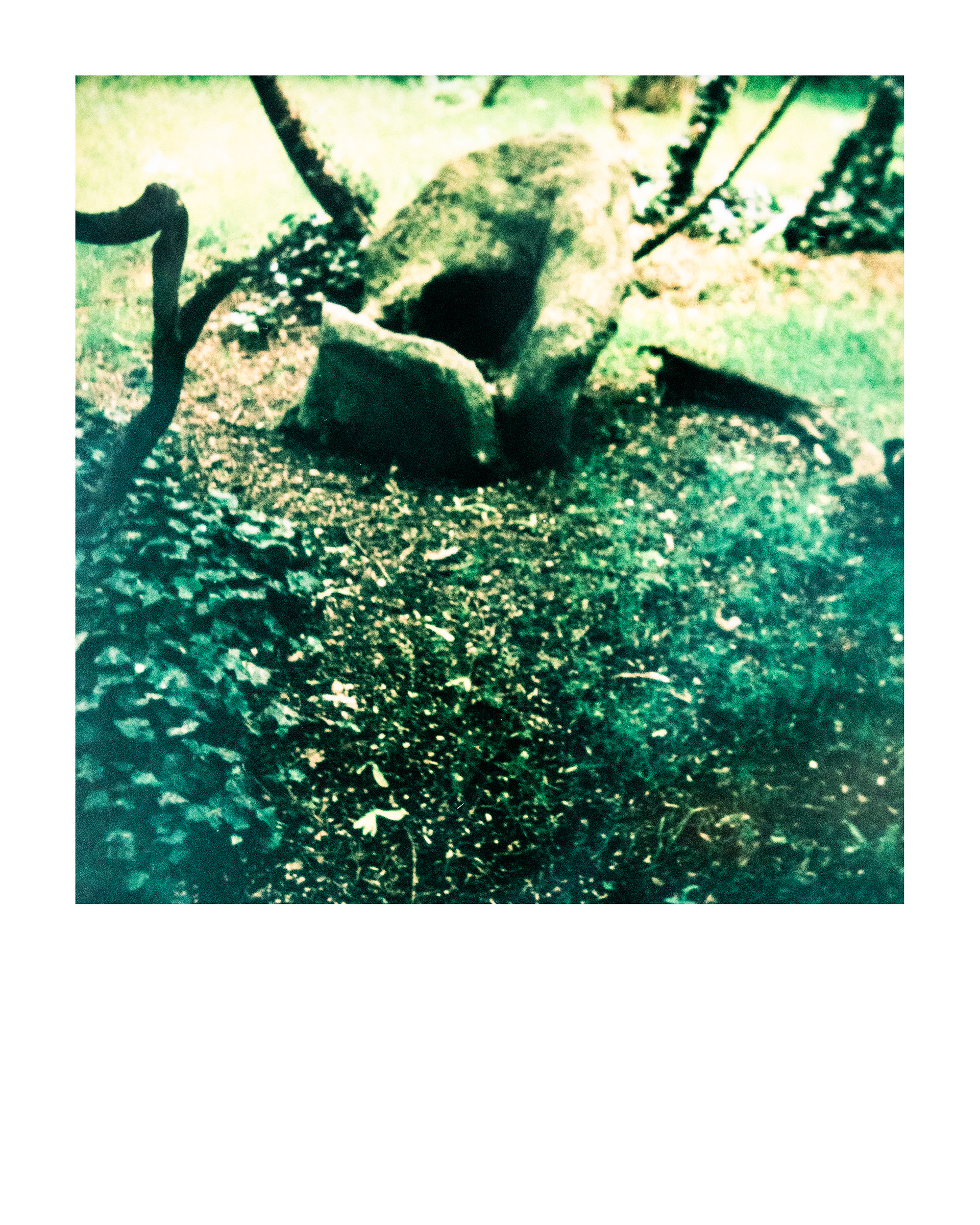 91200, Parc Edmond-de-Rothschild, Boulogne Billancourt, Hauts-de-Seine, France, 2026 (Polaroid)