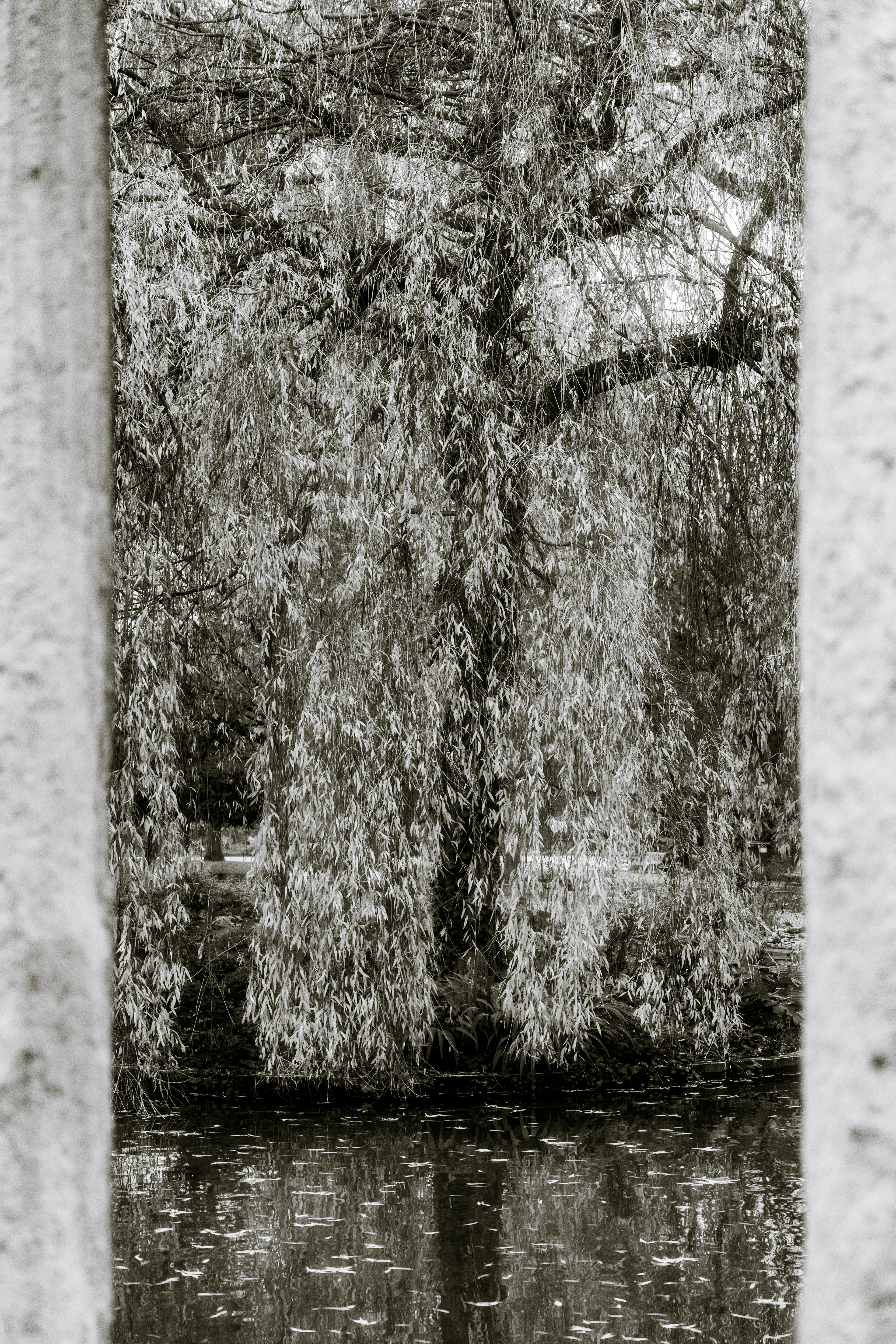 Parc Monceau, Paris, Ile-de-France, France, 2025