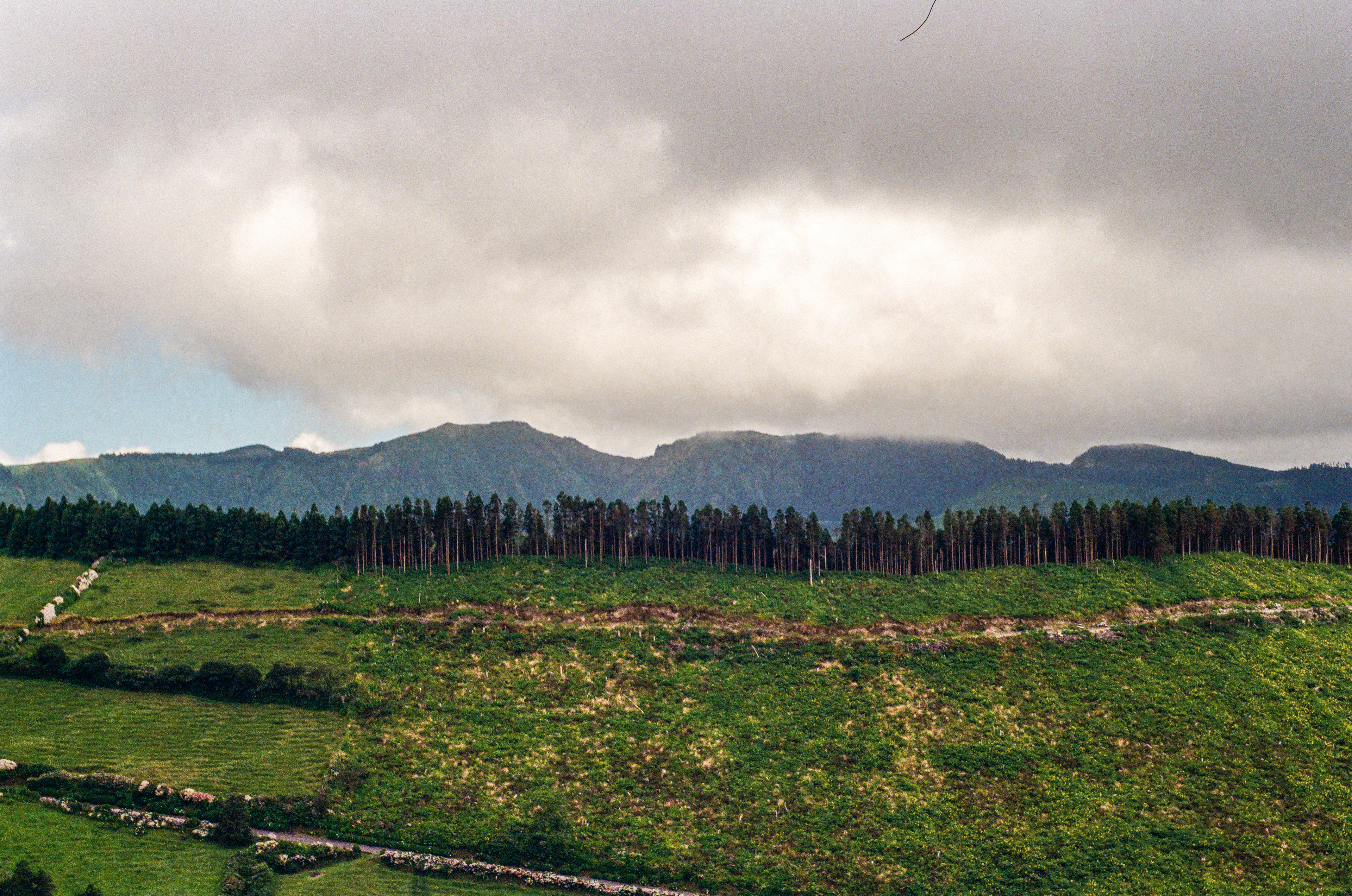 São Miguel, Azores, Portugal, 2025