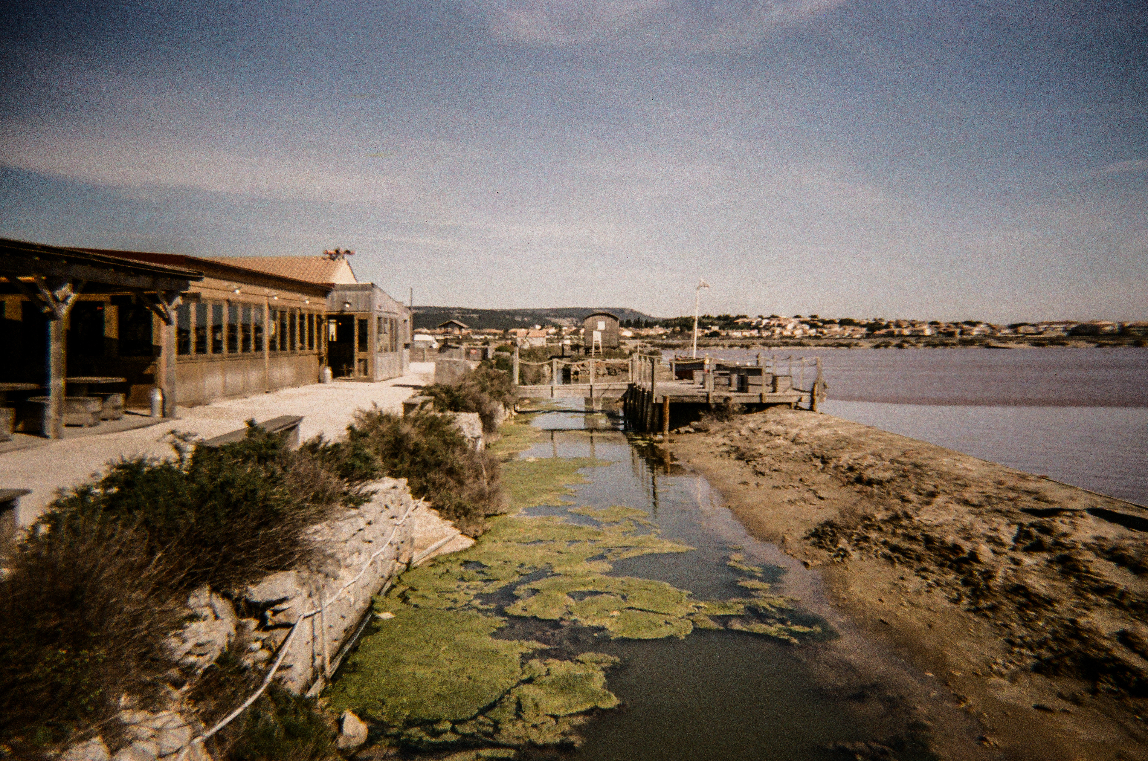 Le salin de l'Île Saint-Martin, Gruissan, Aude, France, 2026