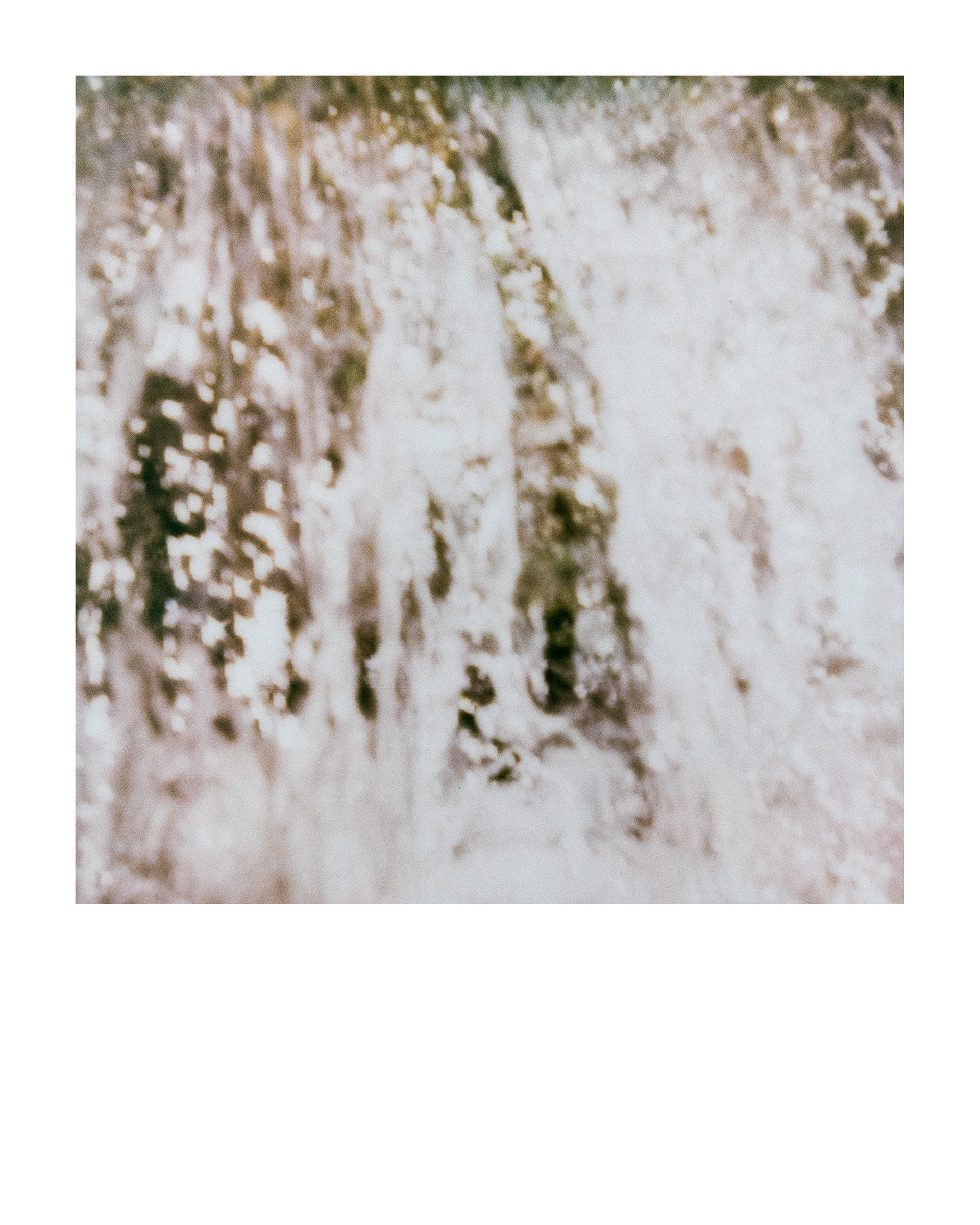 Série "Parcs", Parc Edmond-de-Rothschild, 2026 (Polaroid)