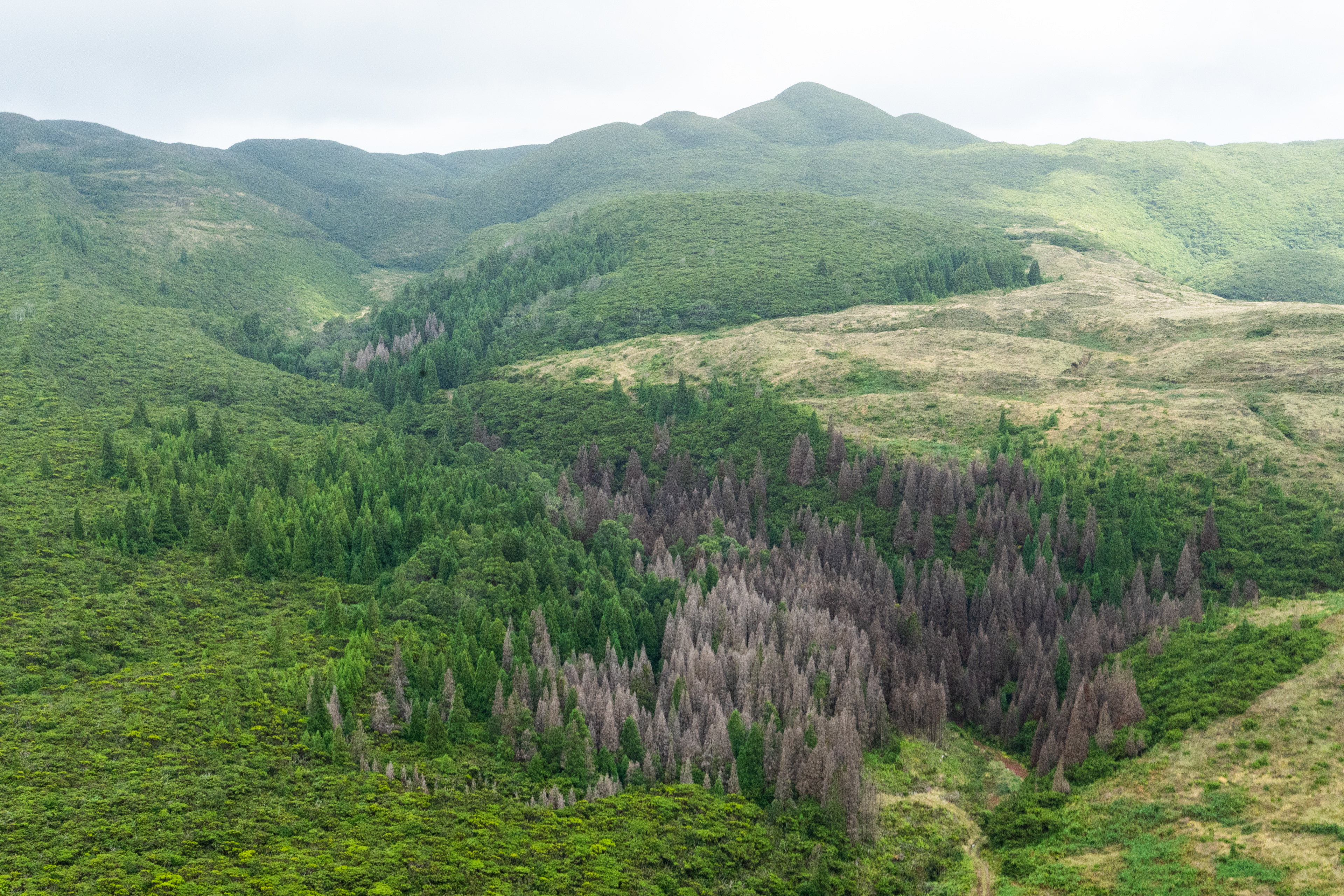 Terveira, Azores, Portugal, 2025
