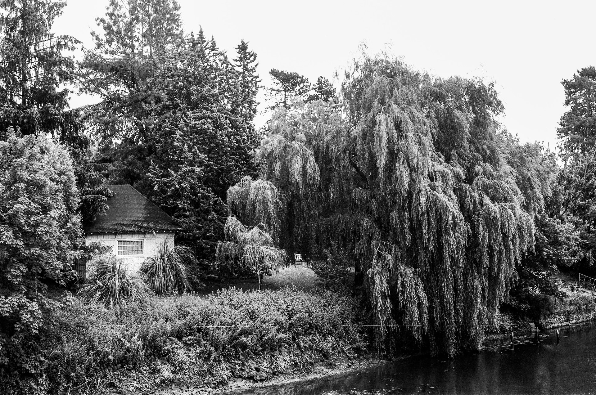 78670, Villennes-Sur-Seine, Yvelines, Ile-de-France, France, 2025 (Argentique)