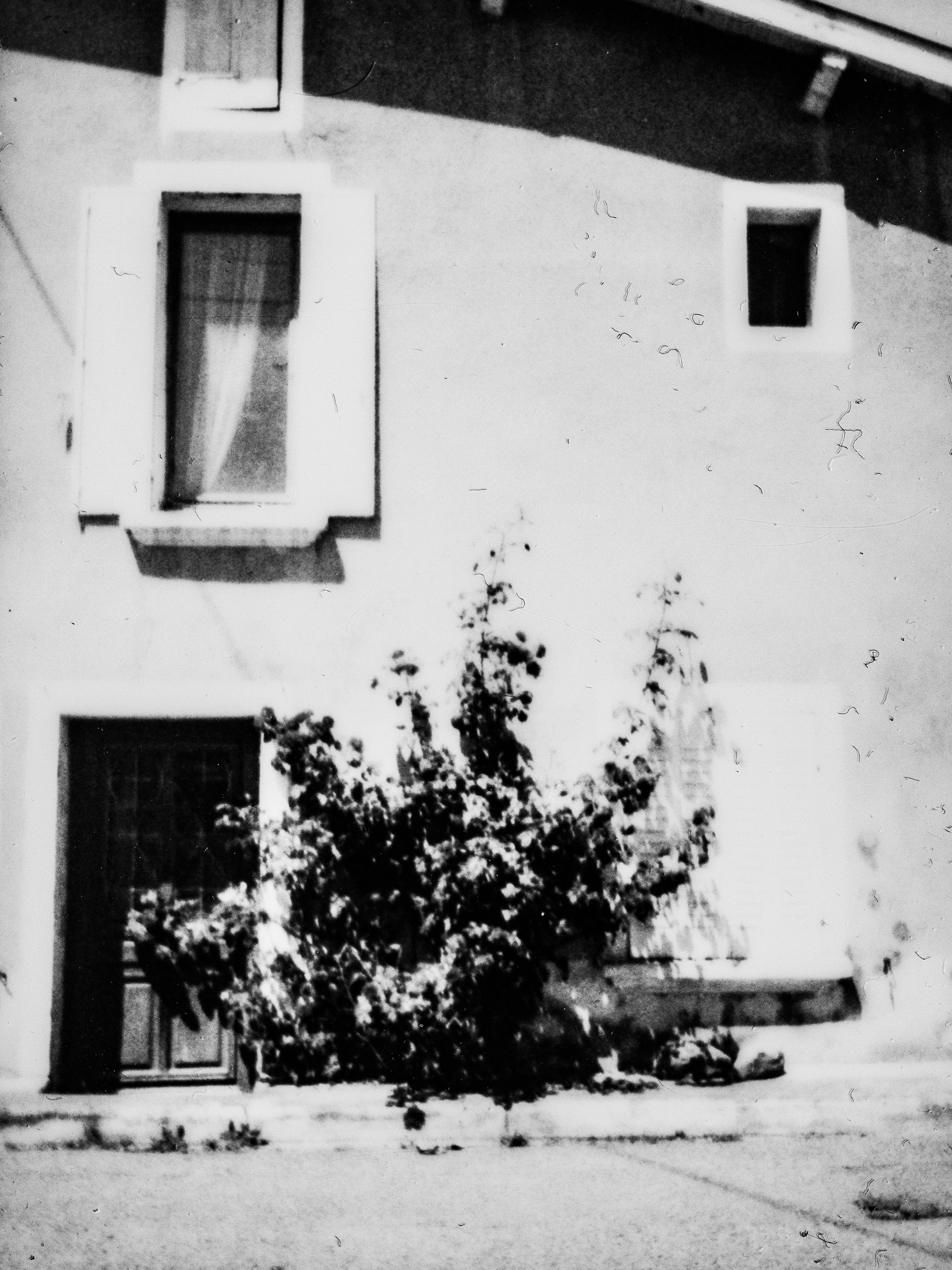 38160, Chatte, Isère, Auvergne-Rhône-Alpes, France, 2026 (Polaroid)