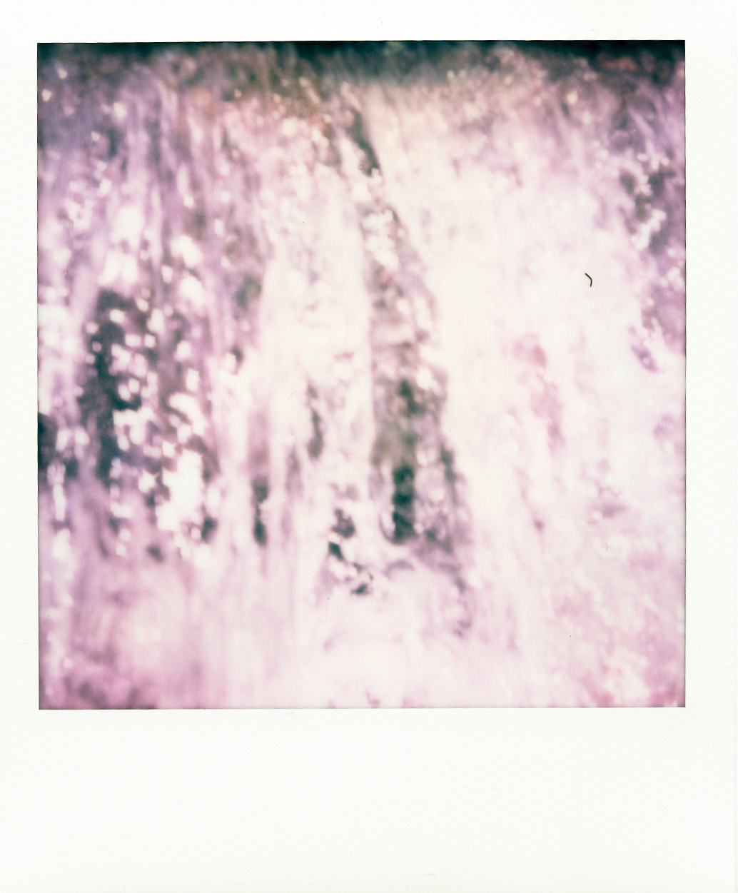 Série "Persistance", Parc Edmond-de-Rothschild, 2026 (Polaroid)