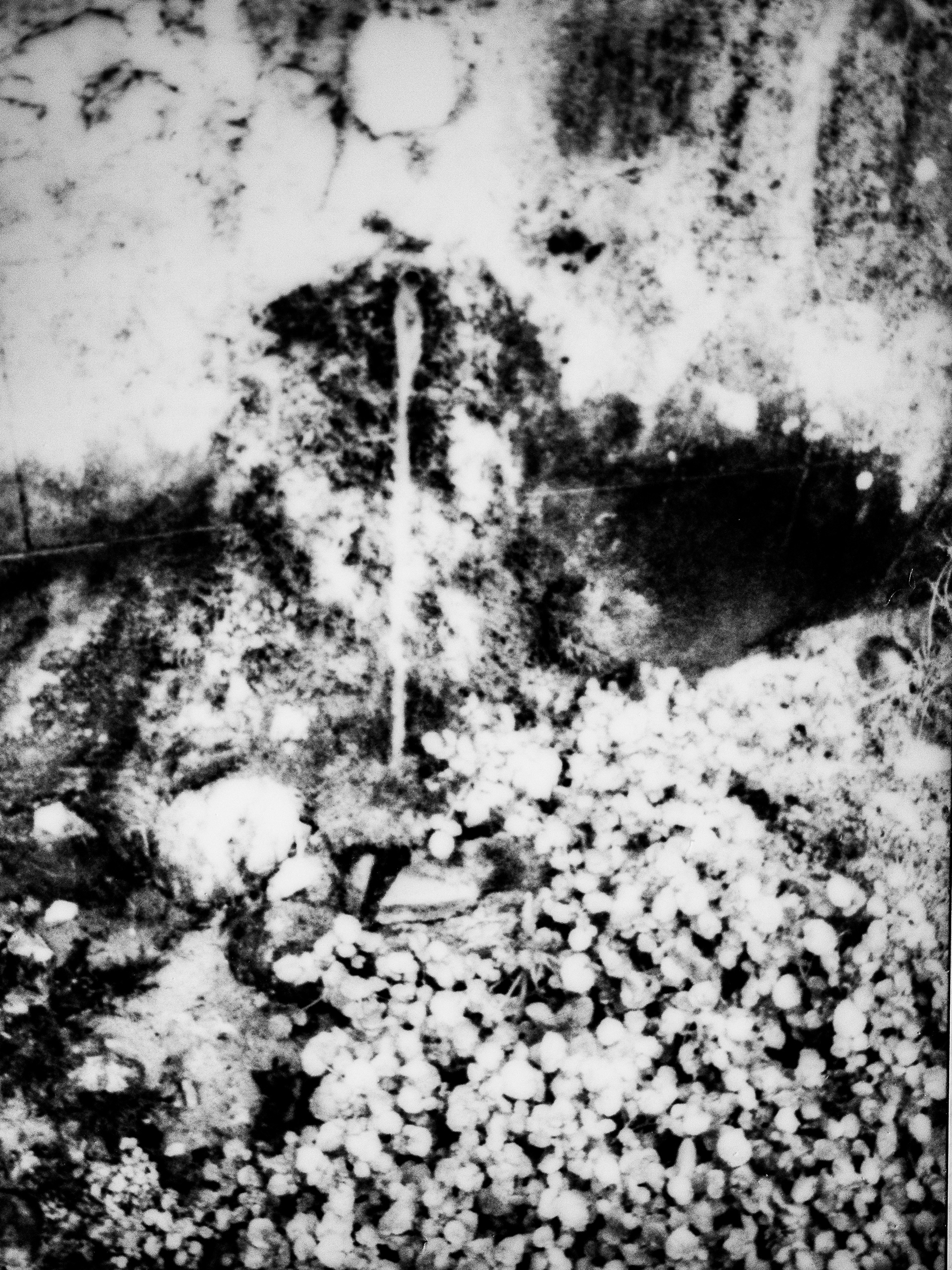 Fontaine de la Pisse vieille, 38160, Saint Antoine l'Abbaye, Isère, Auvergne-Rhône-Alpes, France, 2026 (Polaroid)
