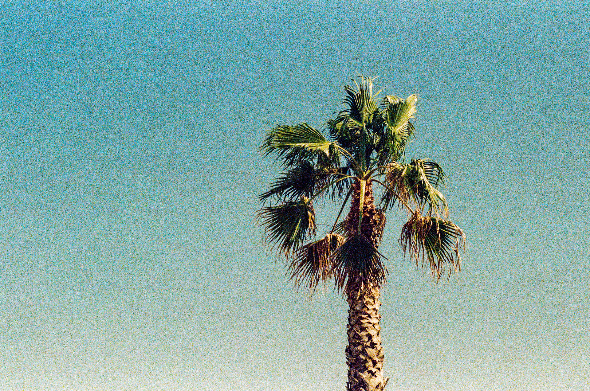Narbonne plage, Aude, France, 2025