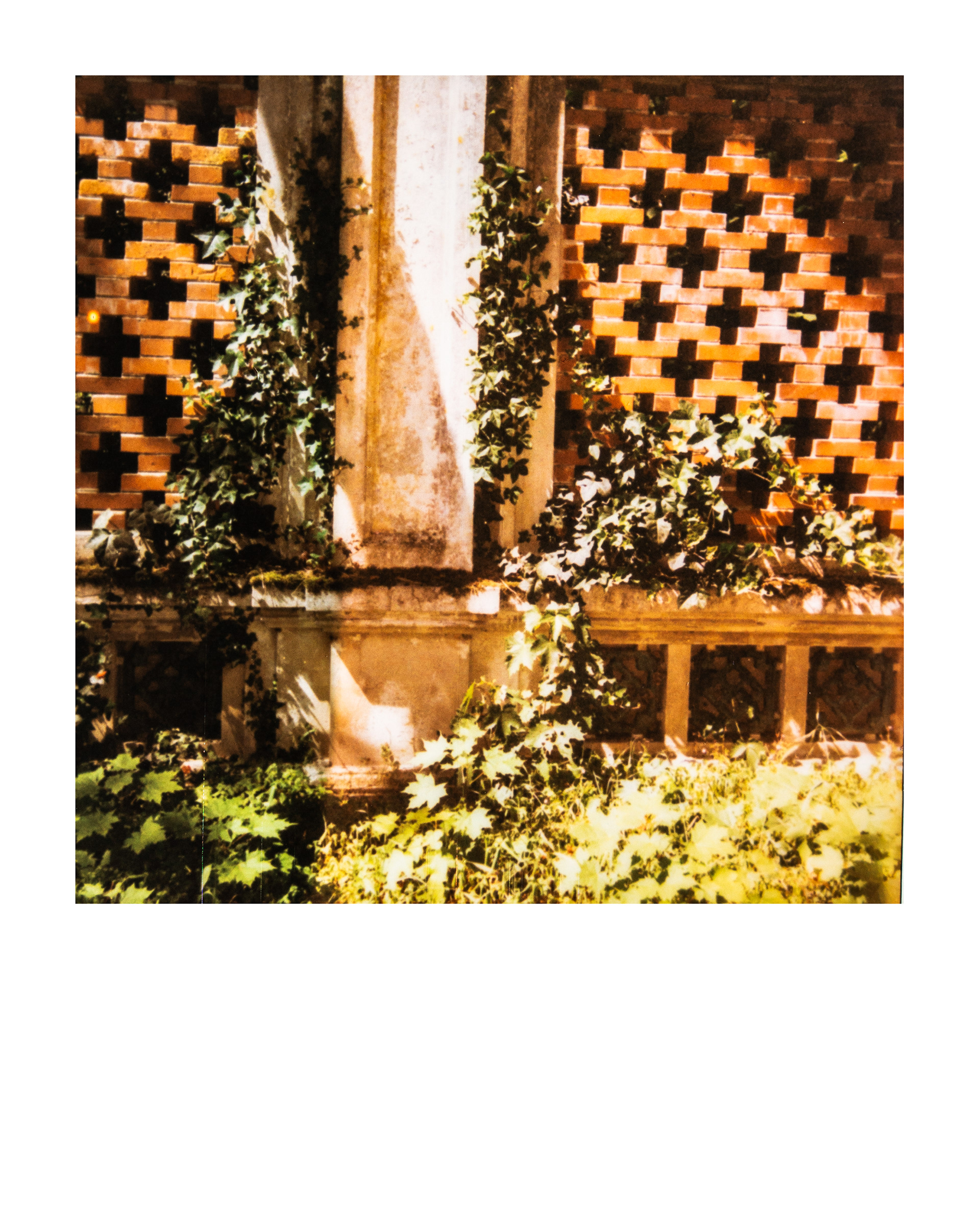 Temple, Jardin d'agronomie tropicale René Dumont, Paris, Ile-de-France, France, 2026 (Polaroid)