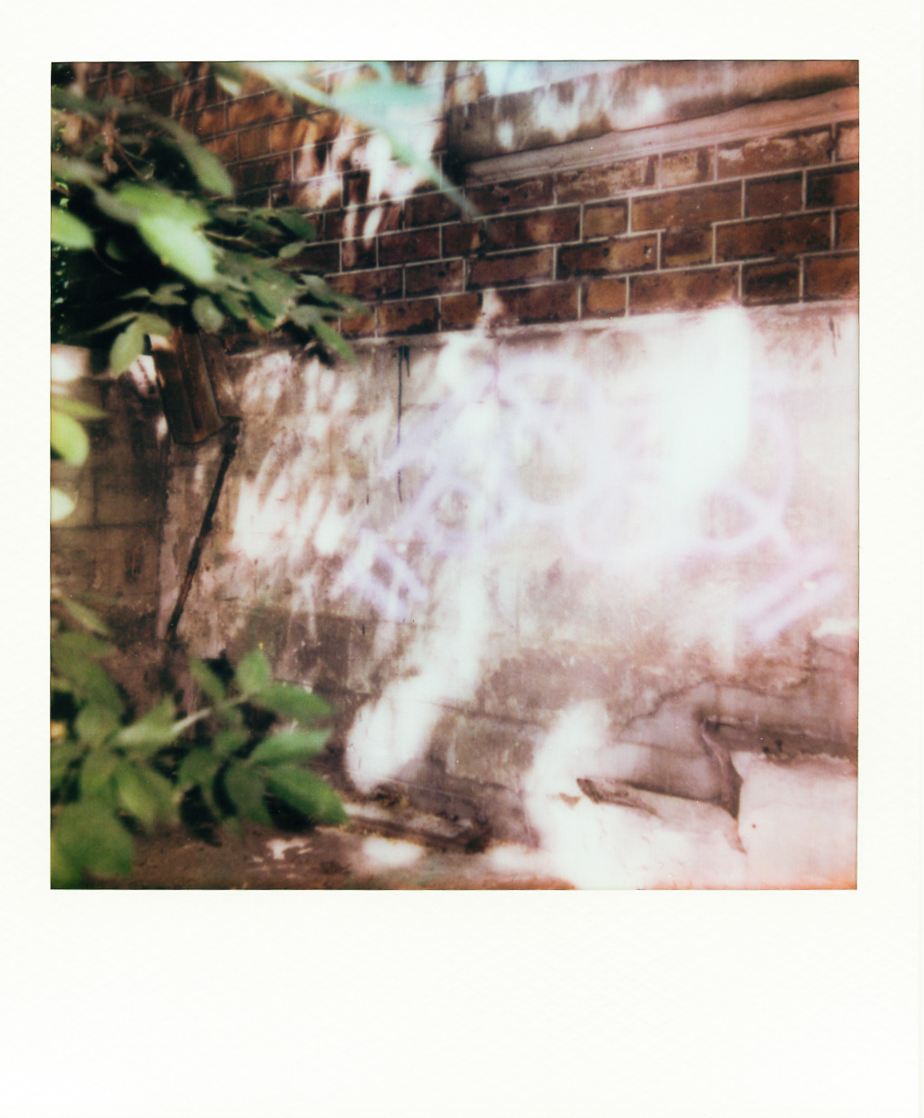 Série "Persistance", Parc Edmond-de-Rothschild, 2026 (Polaroid)