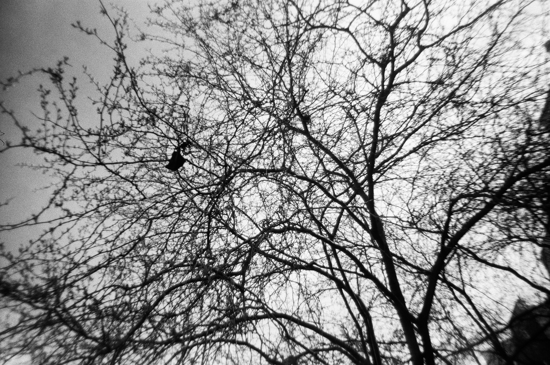 Paris, Ile-de-France, France, 2025