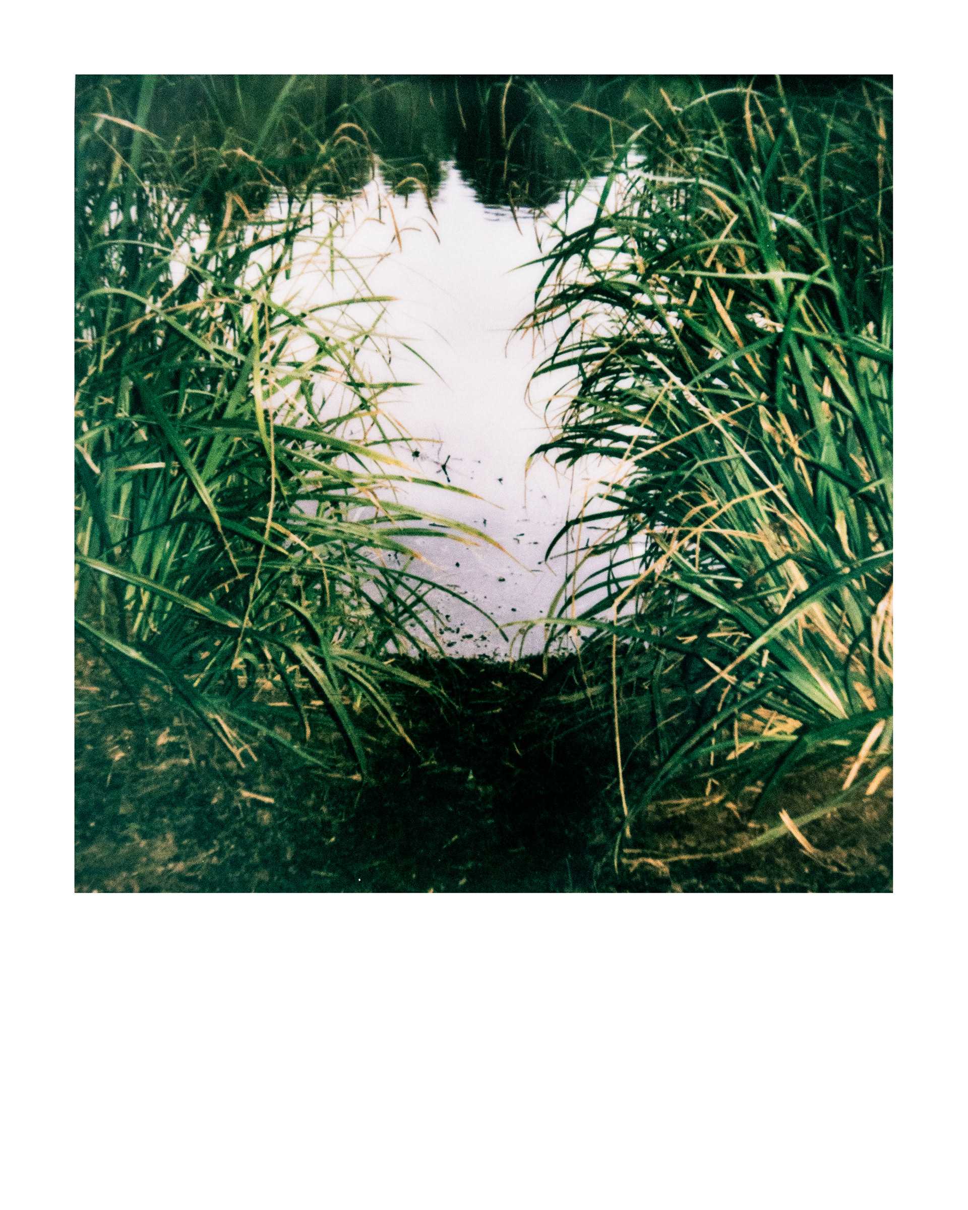 91200, Parc Edmond-de-Rothschild, Boulogne Billancourt, Hauts-de-Seine, France, 2026 (Polaroid)
