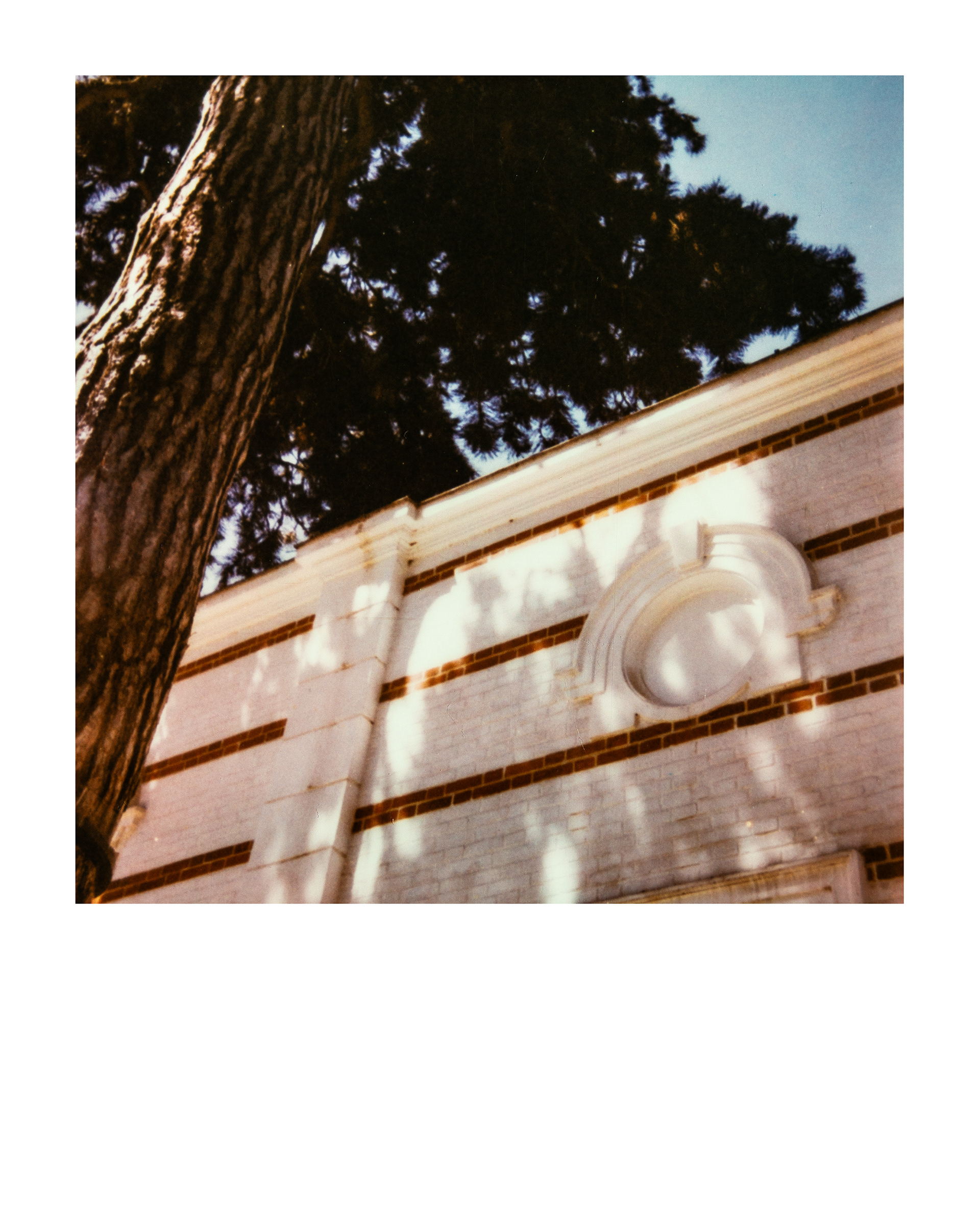 Pavillon d'Indochine, Jardin d'agronomie tropicale René Dumont, Paris, Ile-de-France, France, 2026 (Polaroid)
