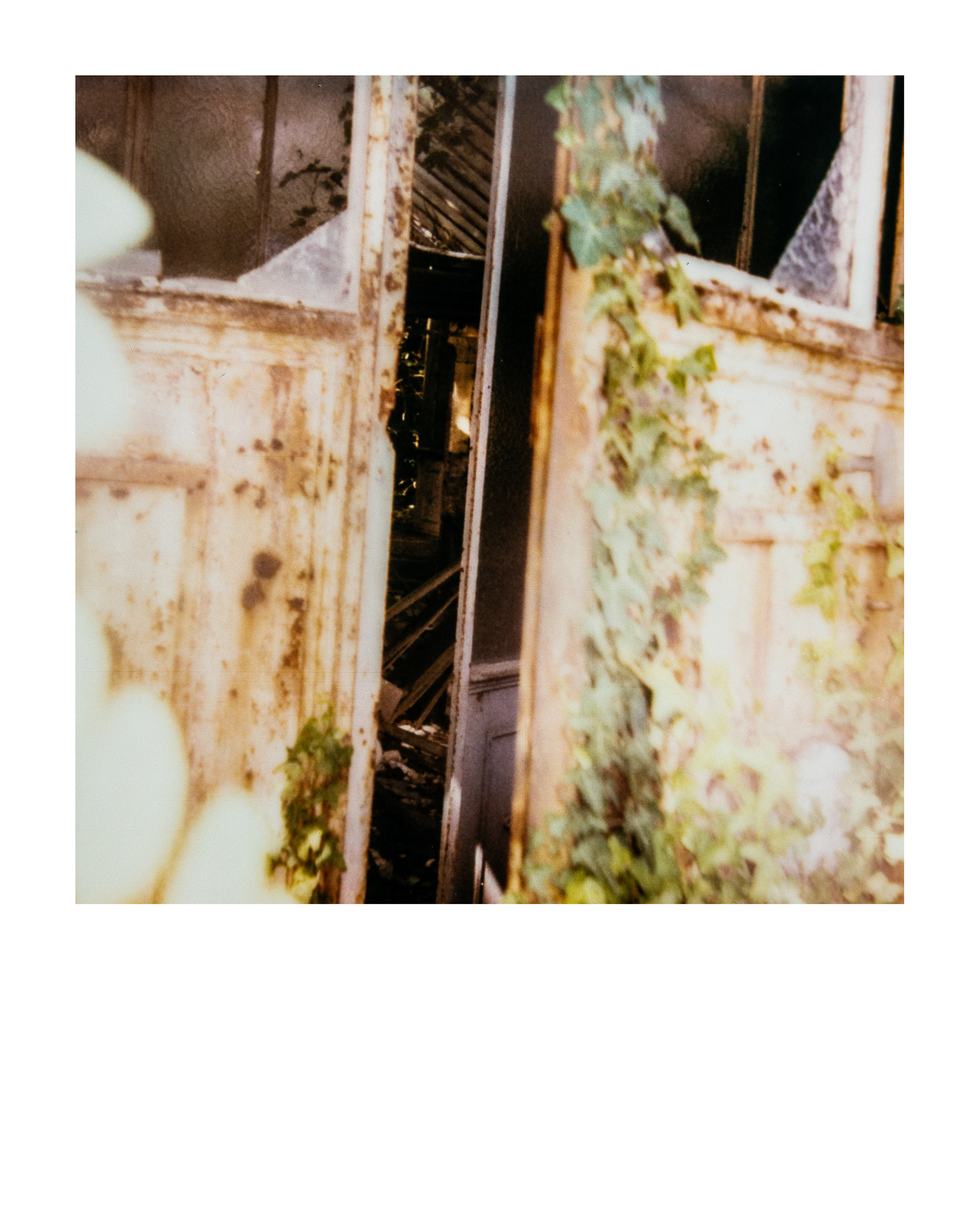 Série "Serres froides", 2026 (Polaroid)