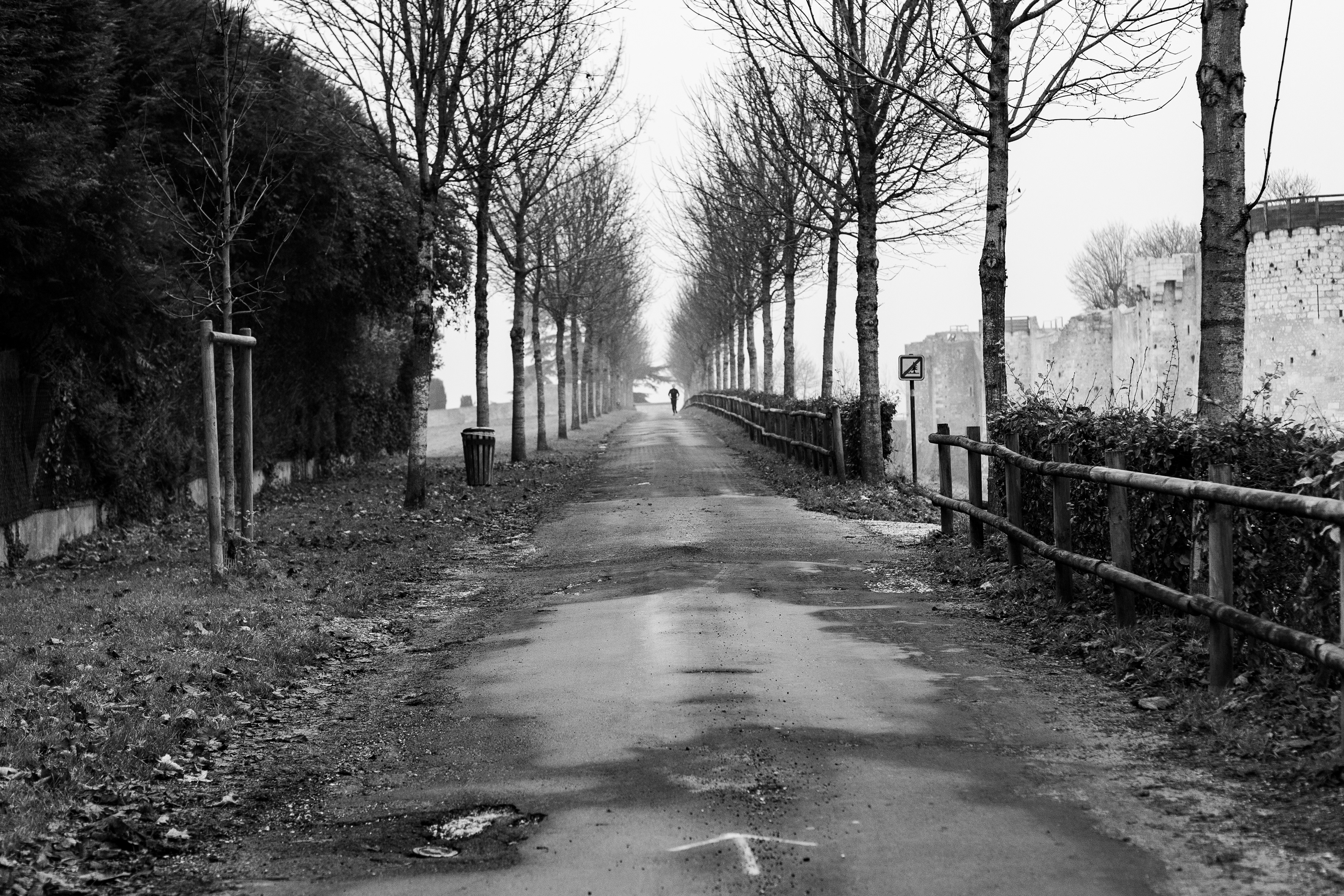 Provins, Seine-et-Marne, Ile-de-France, France, 2024