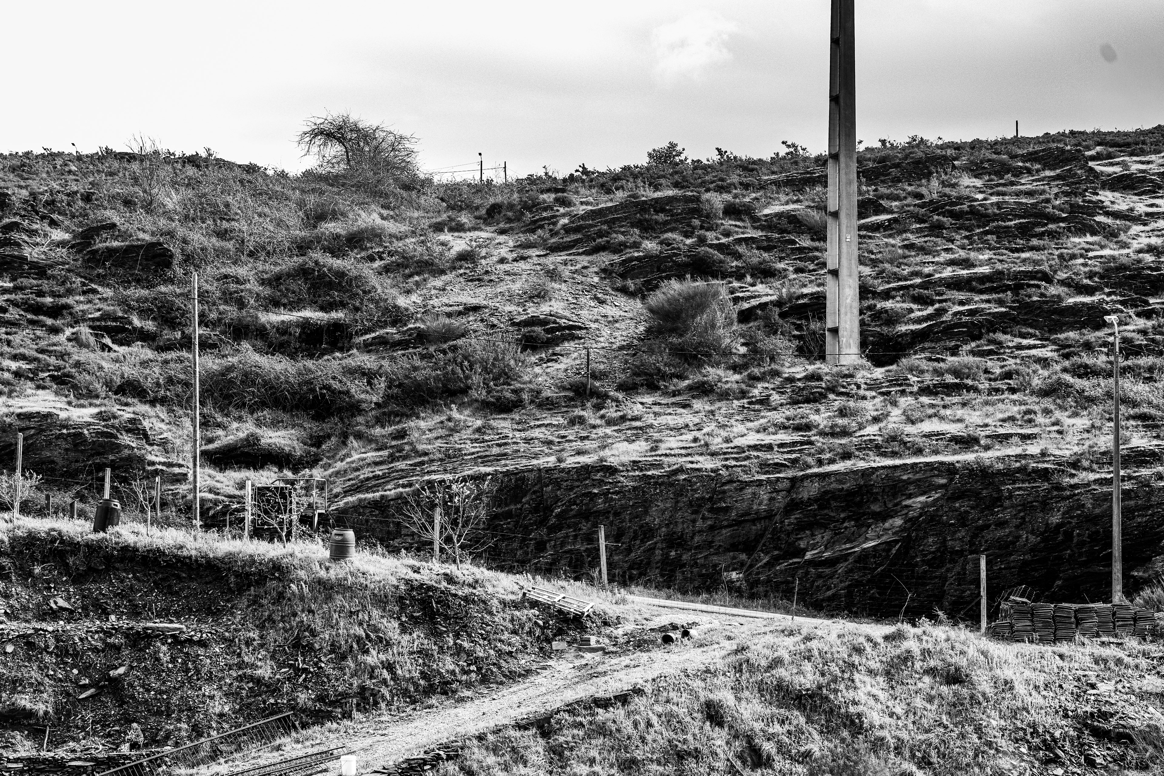 Valongo, Nord, Portugal, 2025