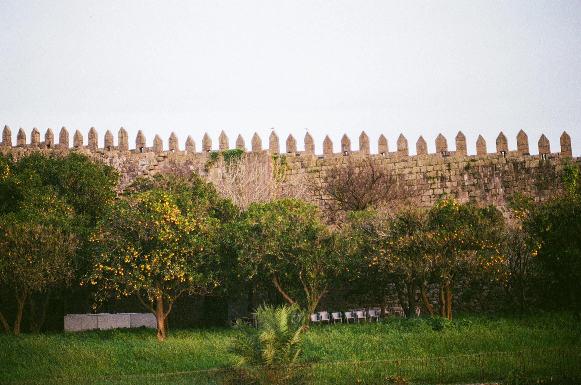 Porto, Nord, Portugal, 2024