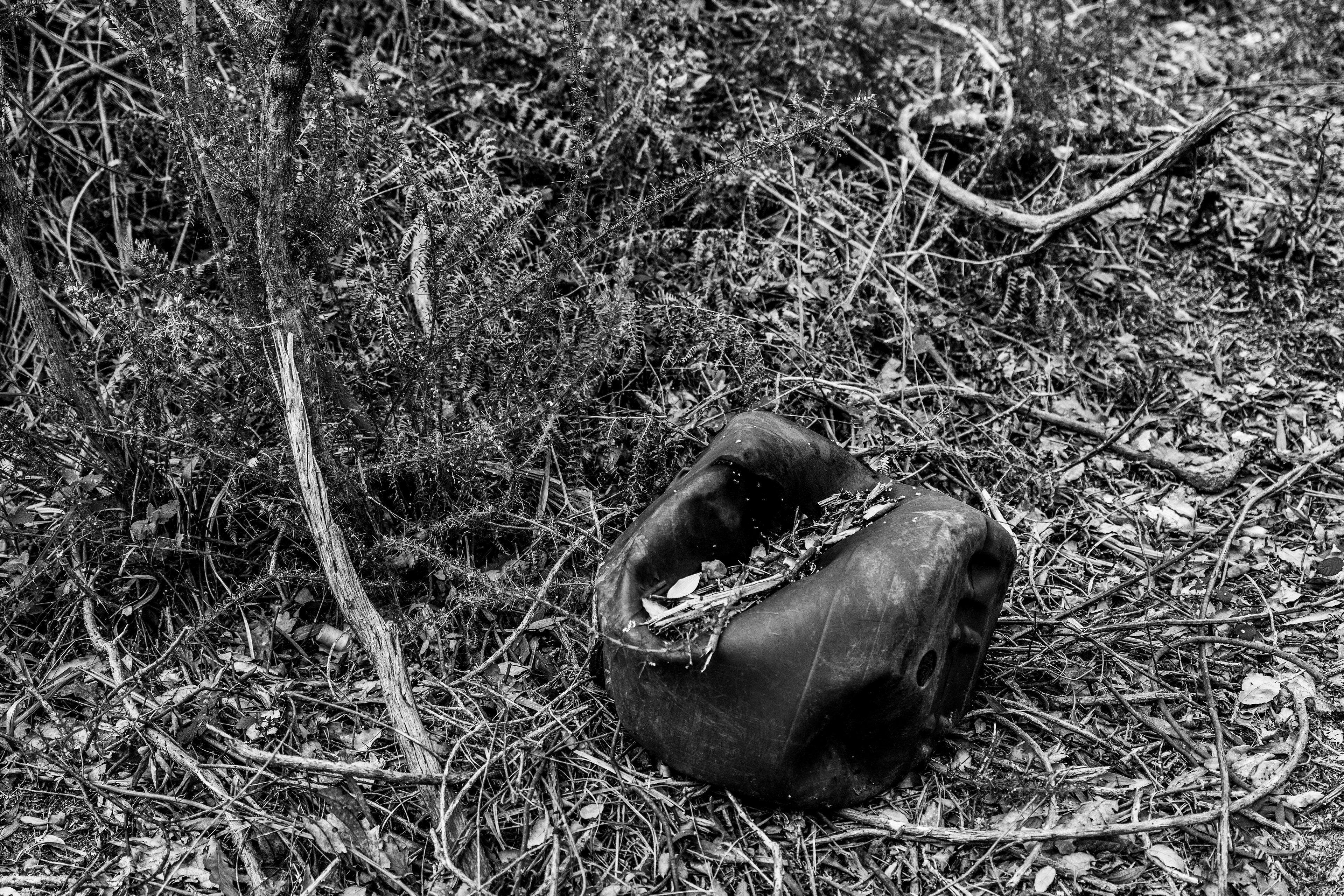 Serra de Negrelos, Vila Nova de Gaia, Nord, Portugal, 2025