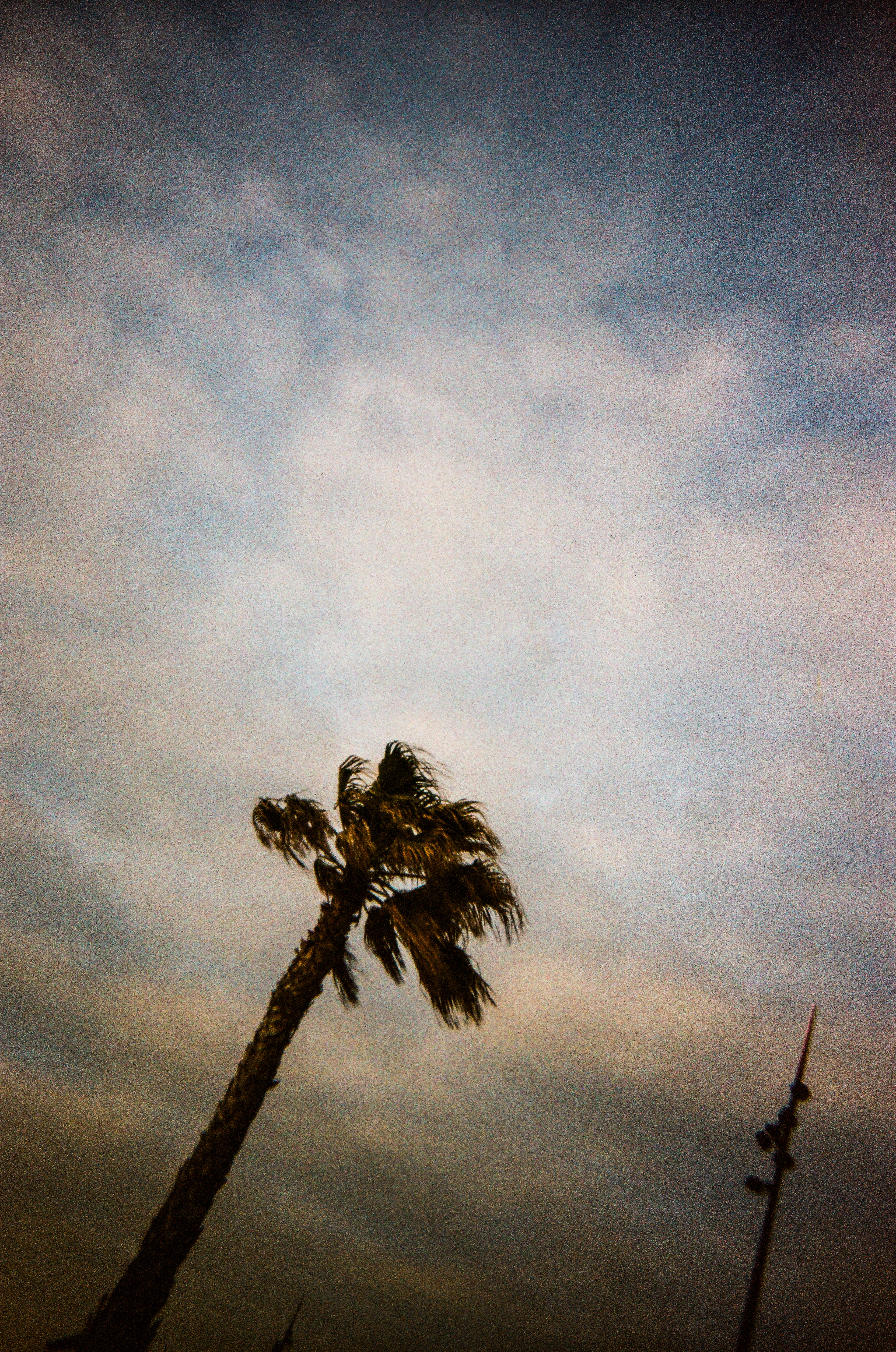 Narbonne plage, Aude, France, 2026