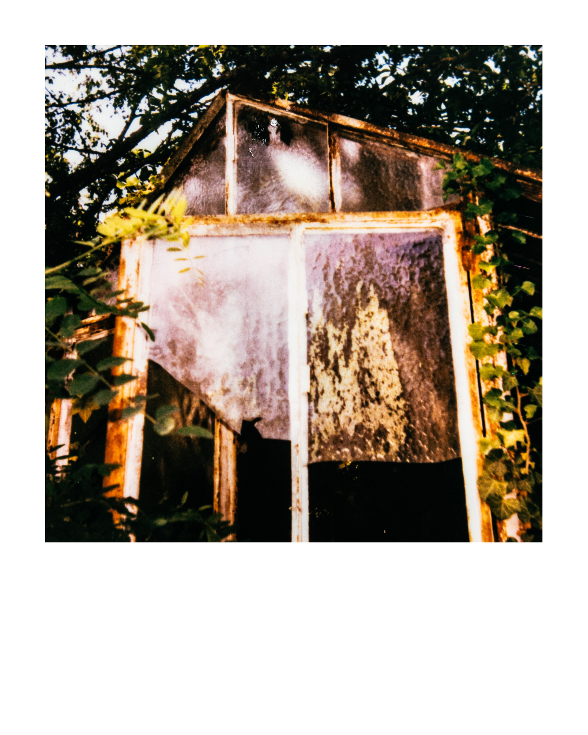 Série "Serres froides", 2026 (Polaroid)