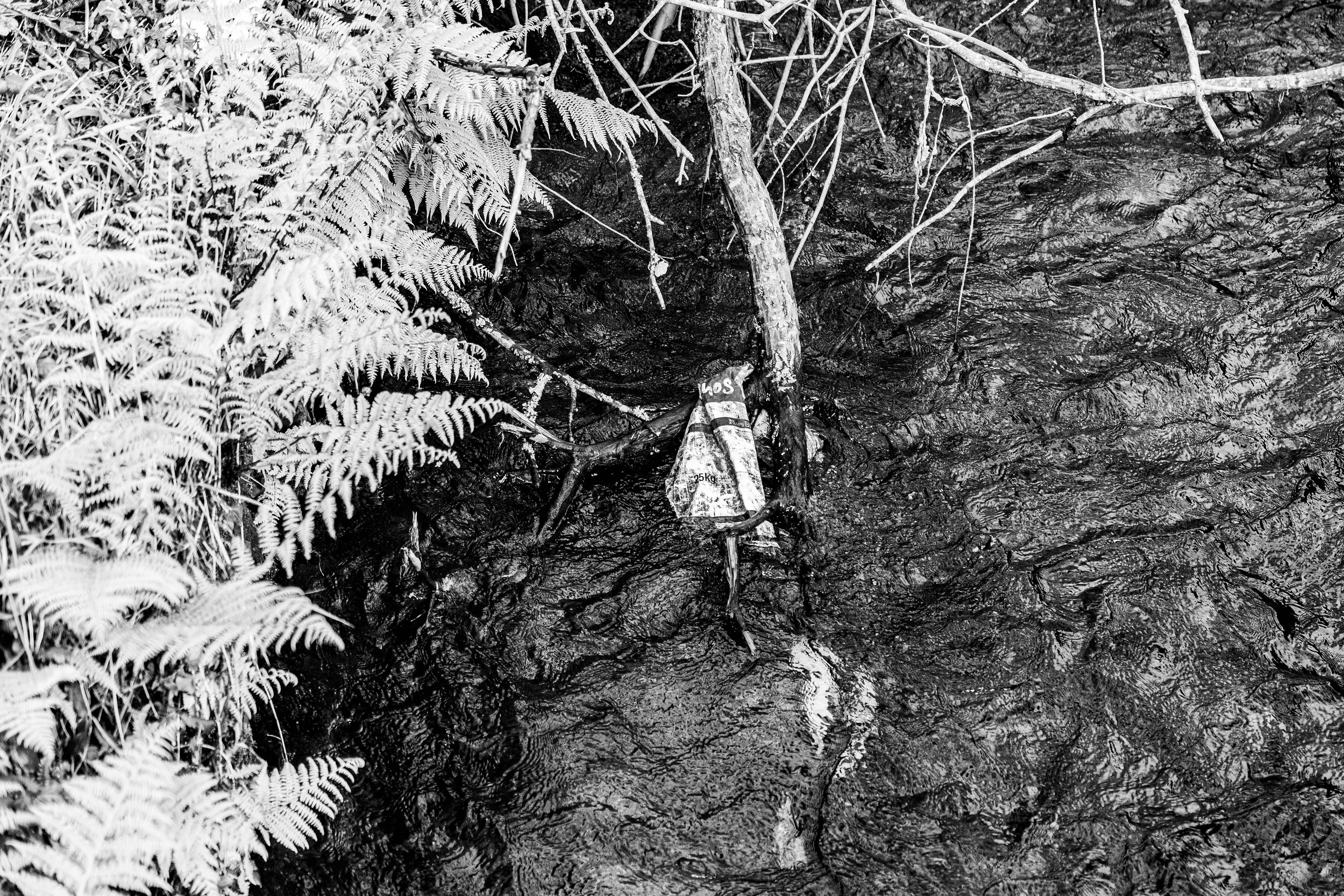 Valongo, Nord, Portugal, 2025