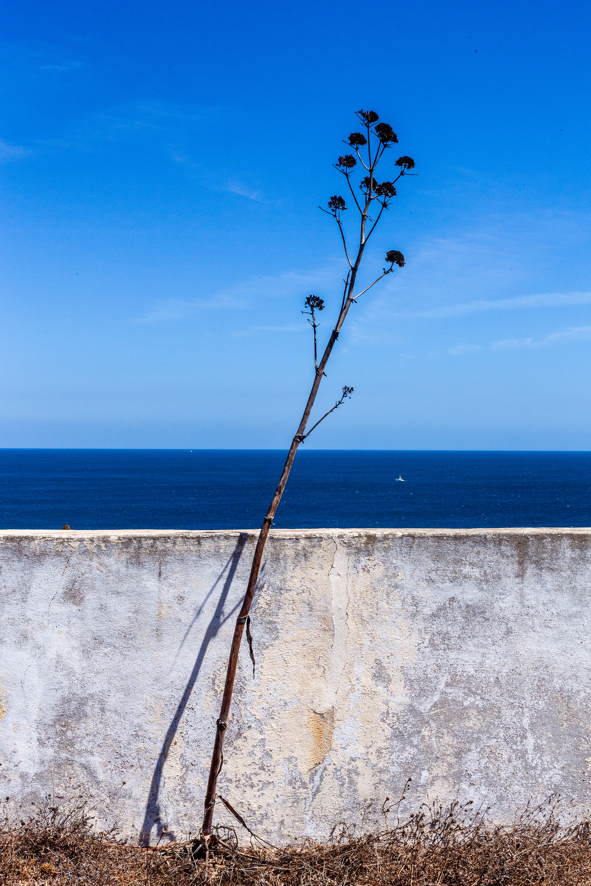 8950, Sagres, Algarve, Portugal, 2024 (Numérique)